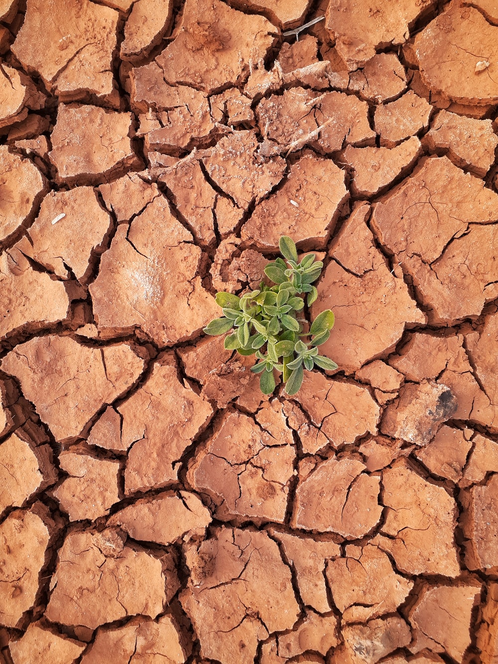 Soil Erosion Picture. Download Free Image