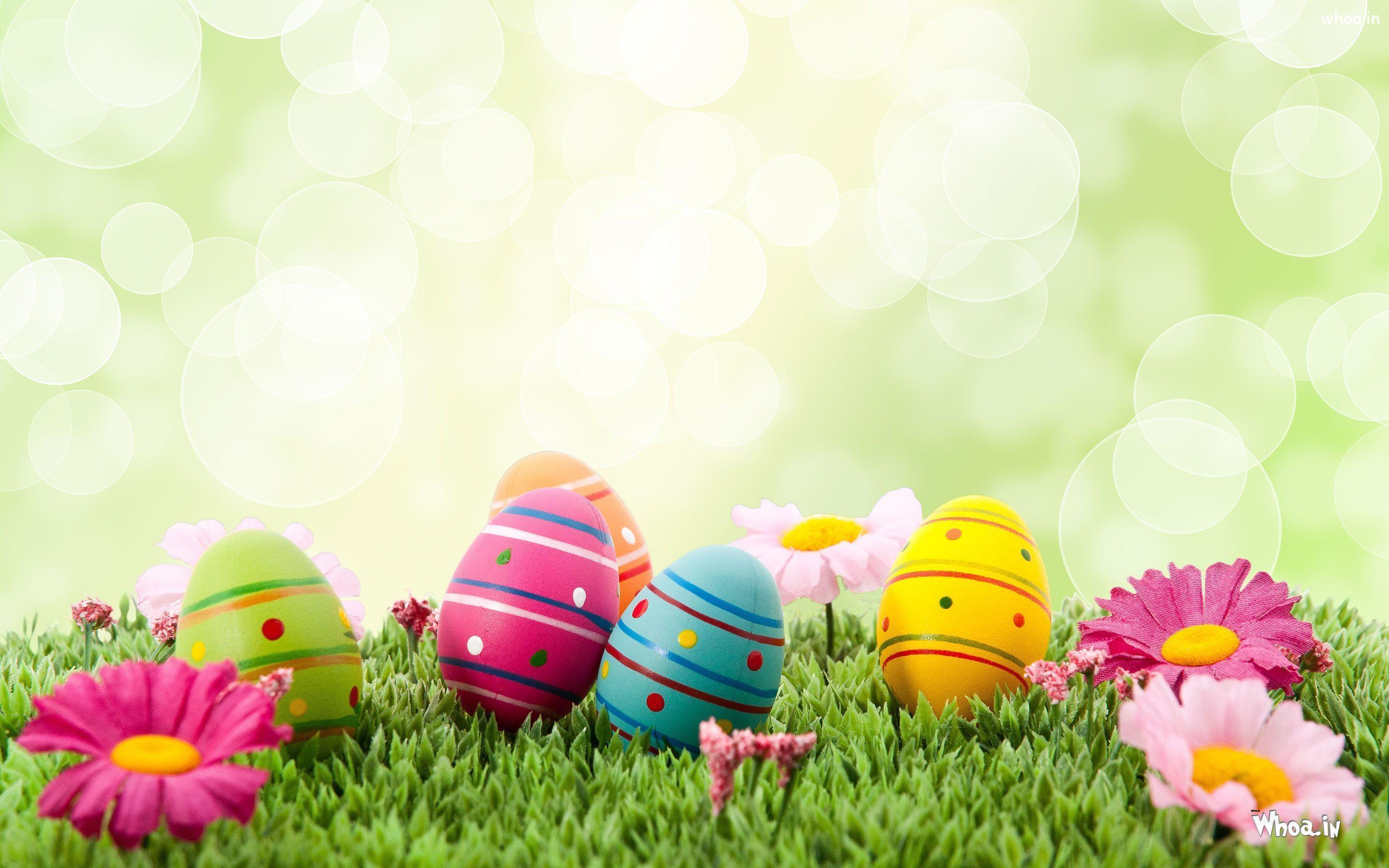 Happy Easter Festival HD Image & Wallpaper Happy Easter Easter Egg Fb Cover Wallpaper