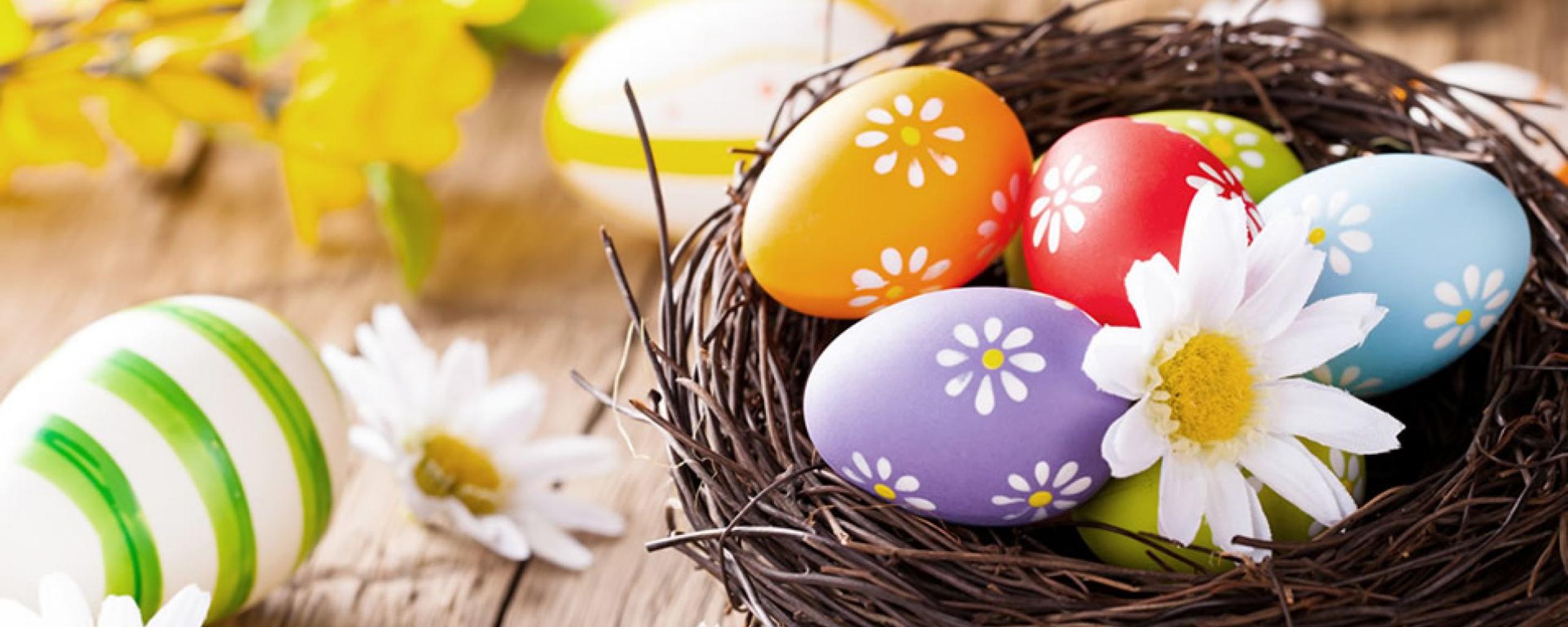 Bird basket full with Easter colourful eggs