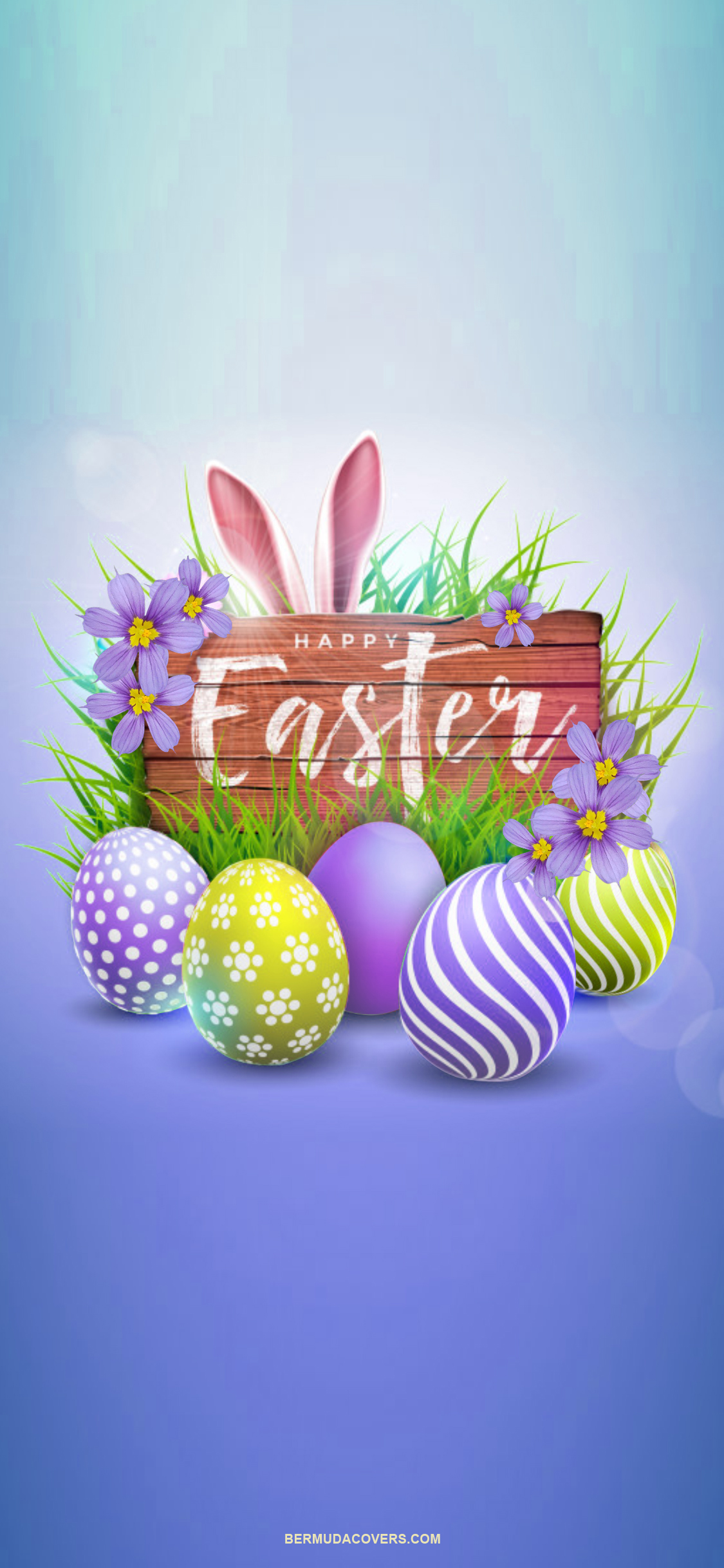 Bermudiana Flower Easter Egg Facebook, Twitter & Phone Screen