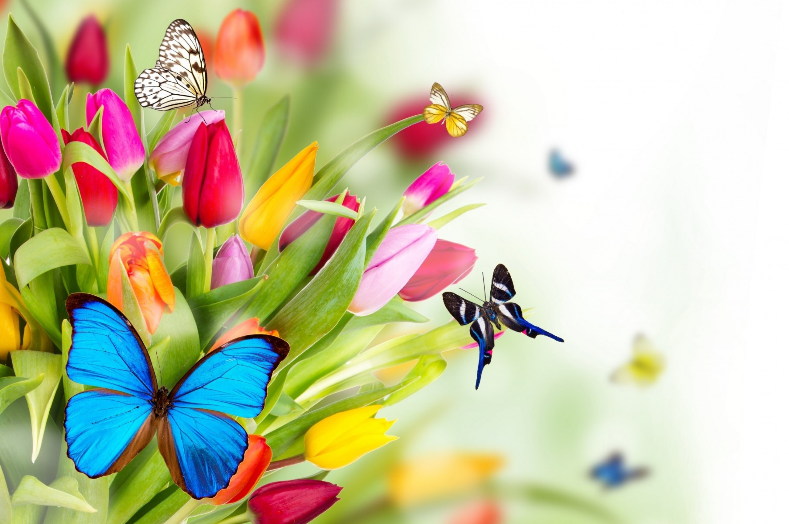 Spring Chromebook Wallpapers - Wallpaper Cave