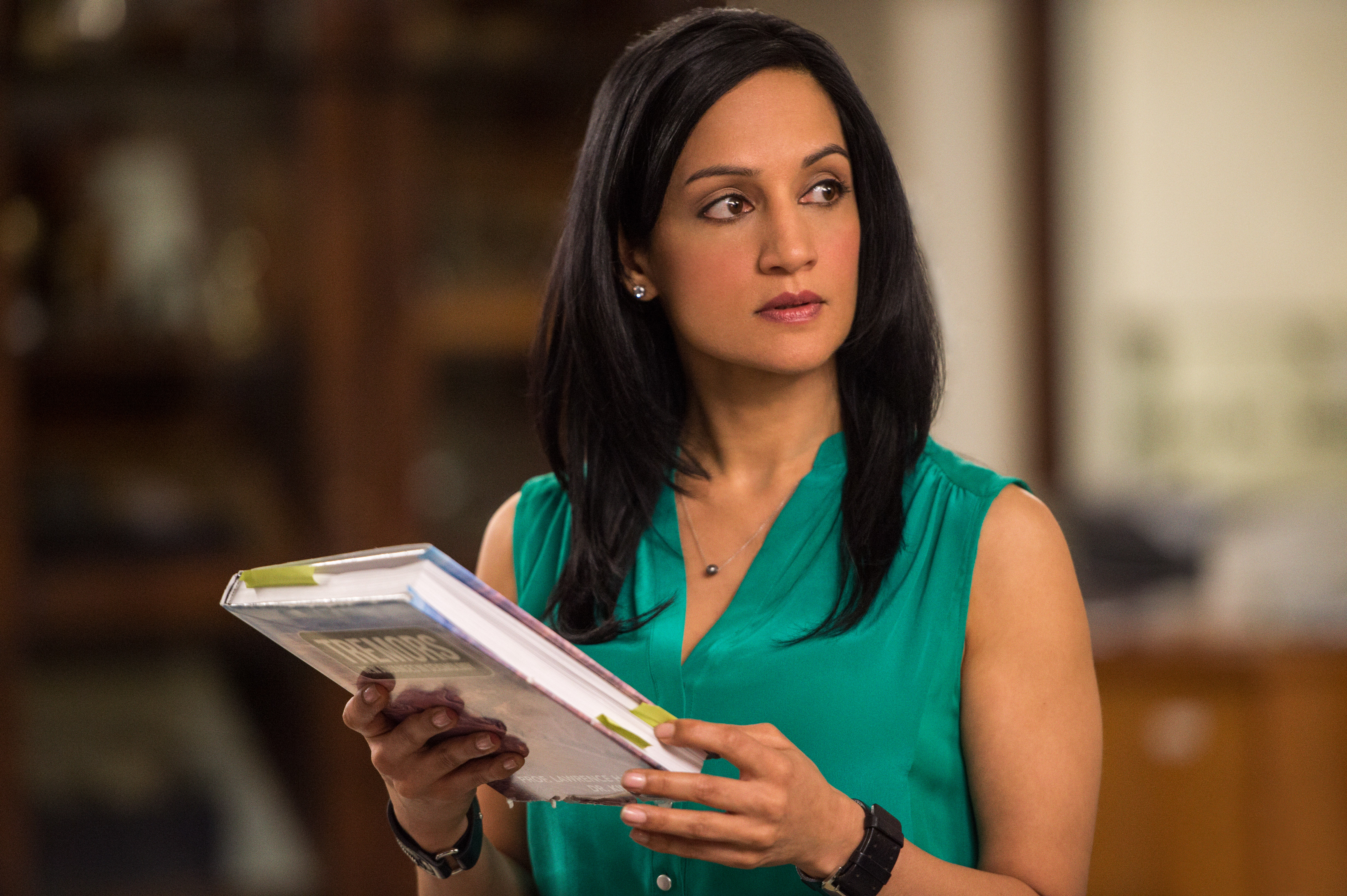 Archie Panjabi Wallpaper:4928x3280