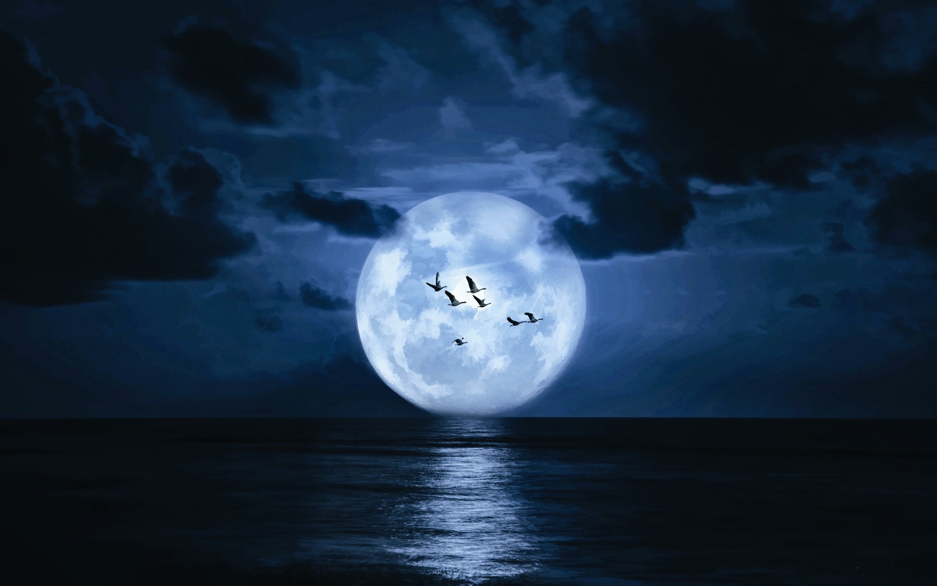 Very big moon, birds, sea, clouds, dark wallpaper wallpaper download. Wallpaper, picture, photo