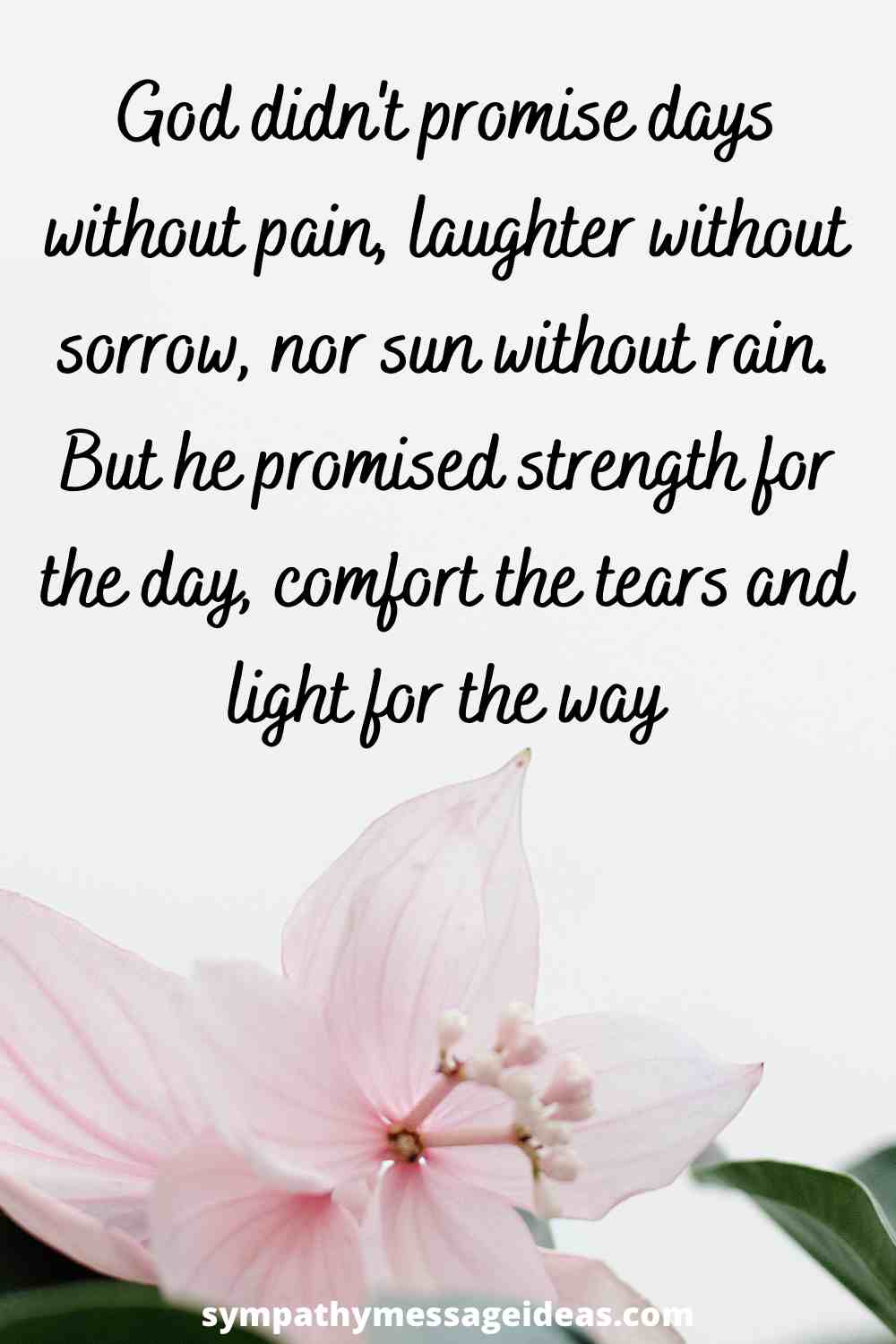 Sympathy Image with Heartfelt Quotes Card Messages