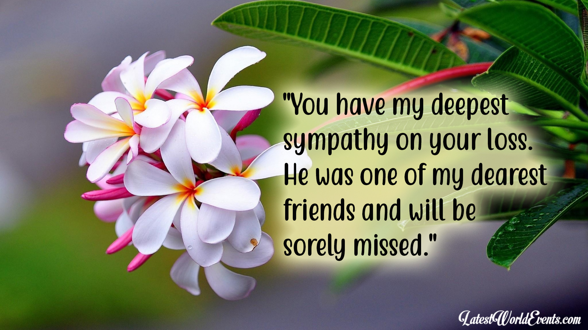 Condolence quotes for a friend & Deepest sympathy image and quotes