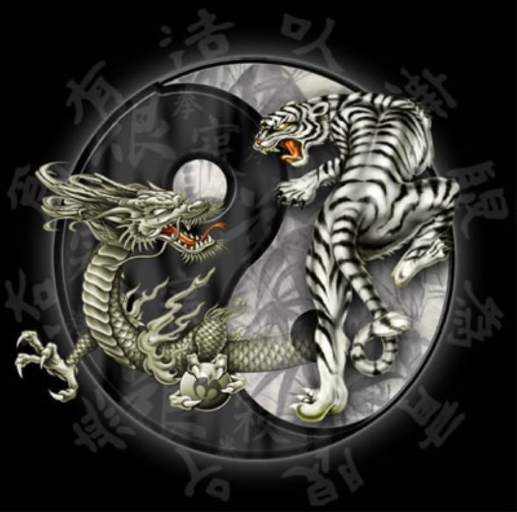 Tiger and Dragon Wallpaper Free Tiger and Dragon Background