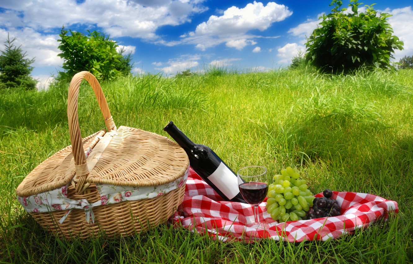 Wallpaper the sky, grass, clouds, landscape, wine, grapes, picnic, nature, In the spring image for desktop, section природа