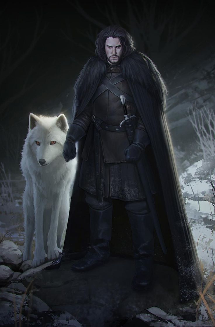Jon Snow on Twitter. Game of thrones fans, Game of thrones image, Game of thrones illustrations