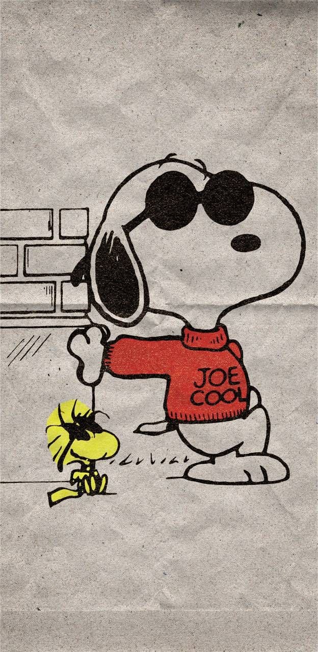 Joe Cool 