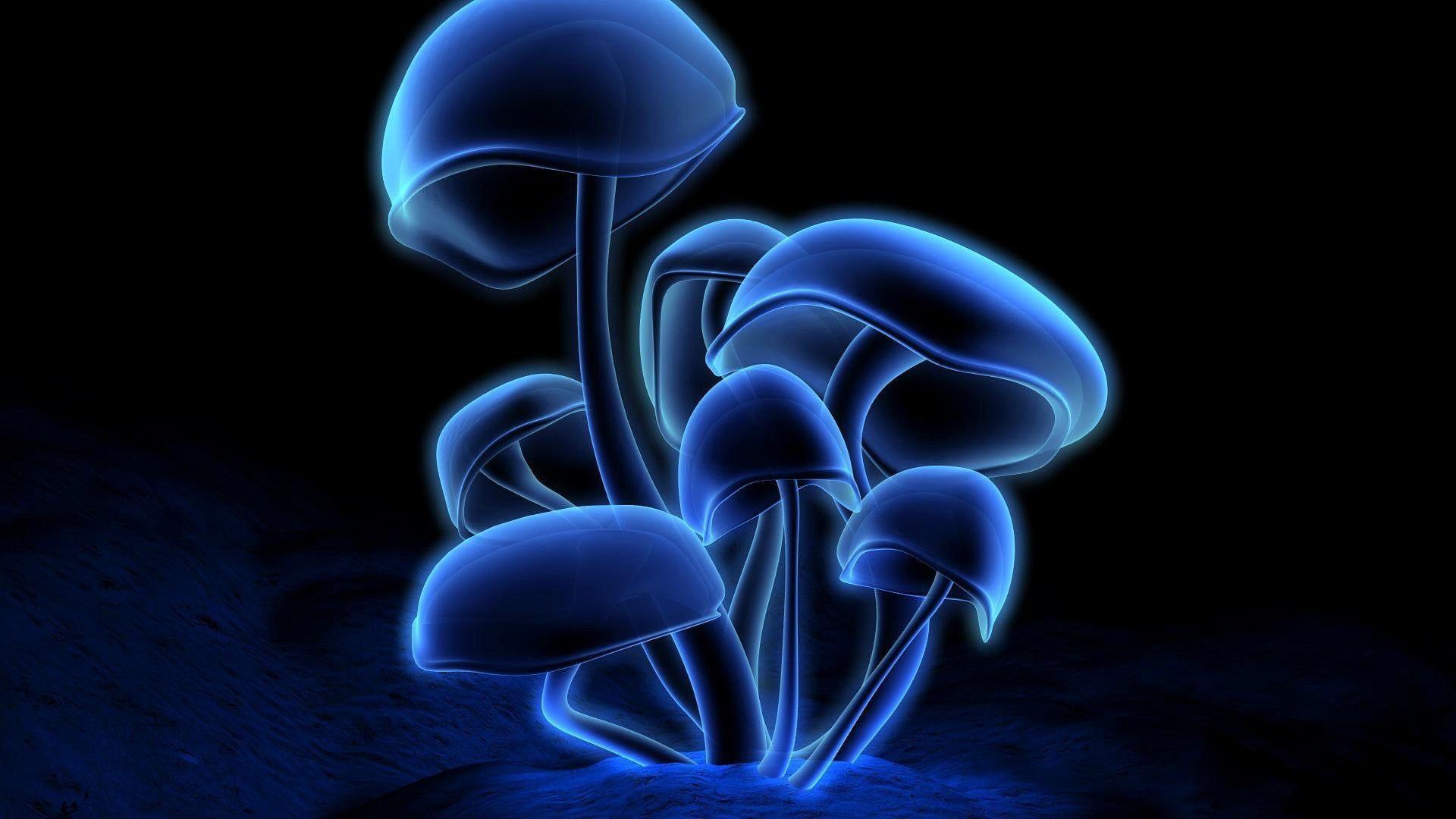 Magic mushroom desktop background