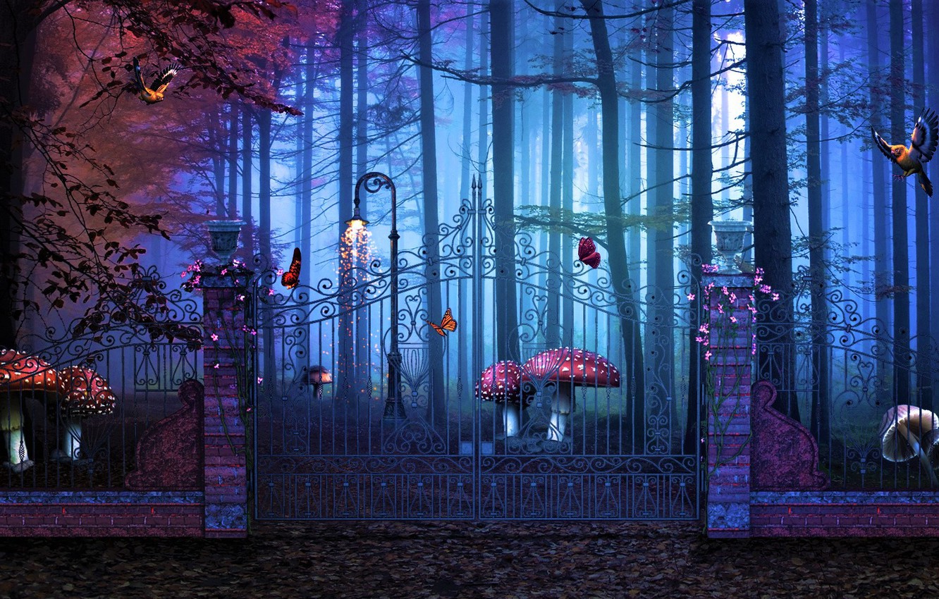 Wallpaper forest, mushrooms, gate, Magical Gate To Artistic Forest image for desktop, section фантастика