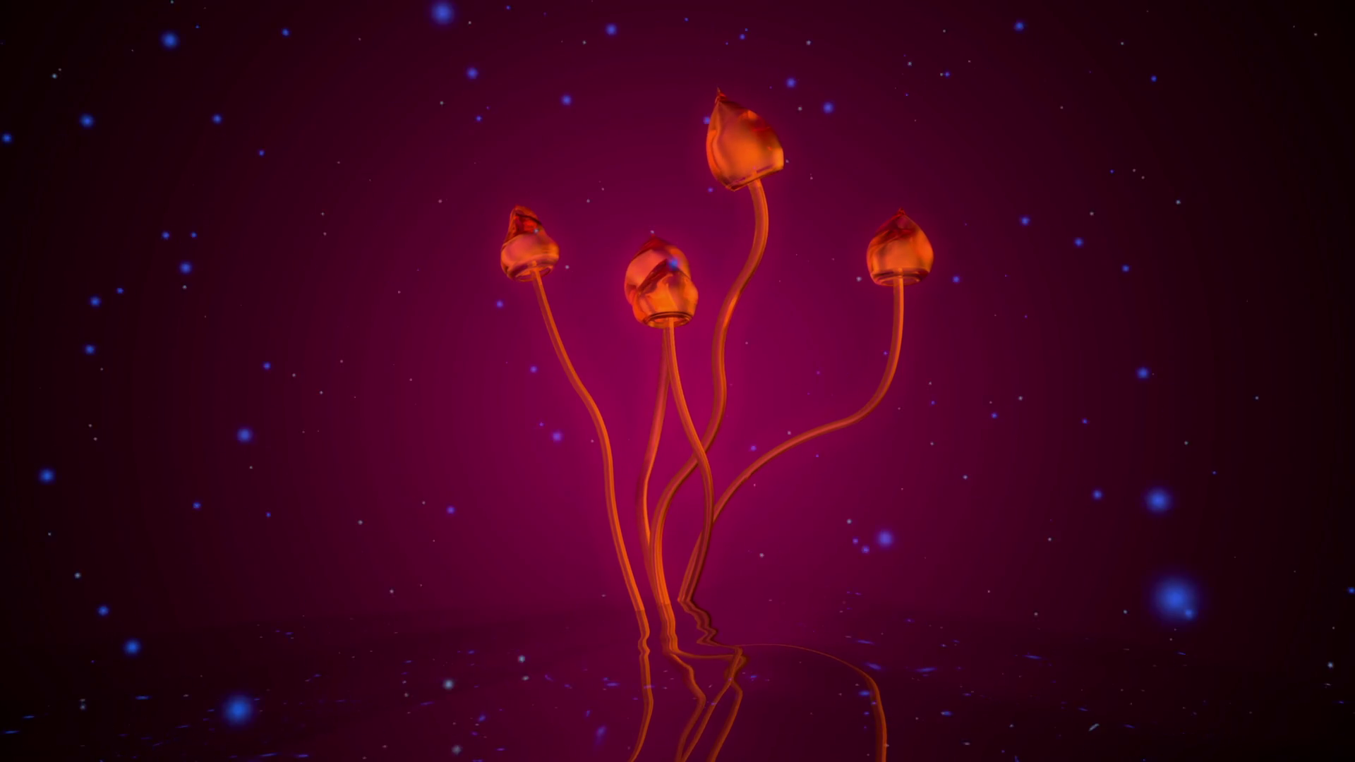 Animation Of The Magic Mushroom Psilocybe Semilanceata Wallpaper & Background Download