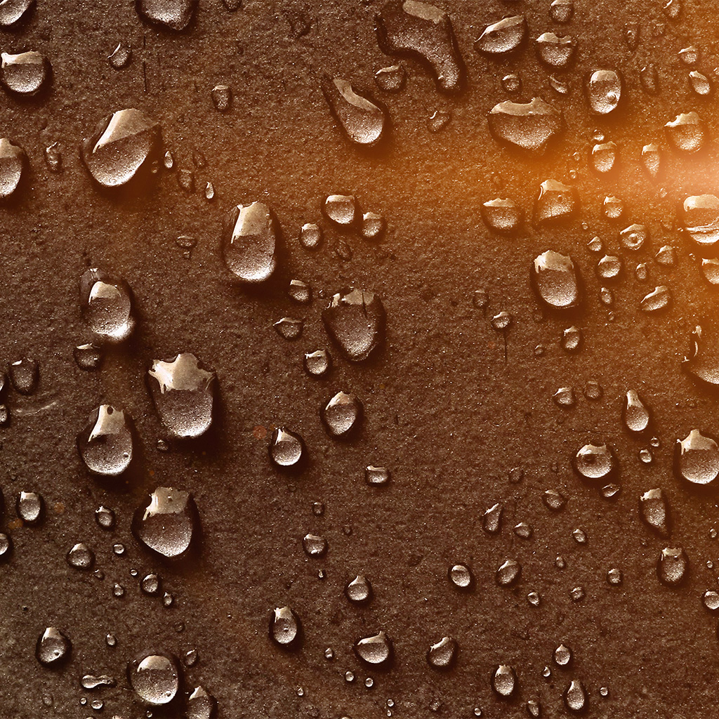 Drops Of Rain Brown Nature Texture Pattern Flare Wallpaper