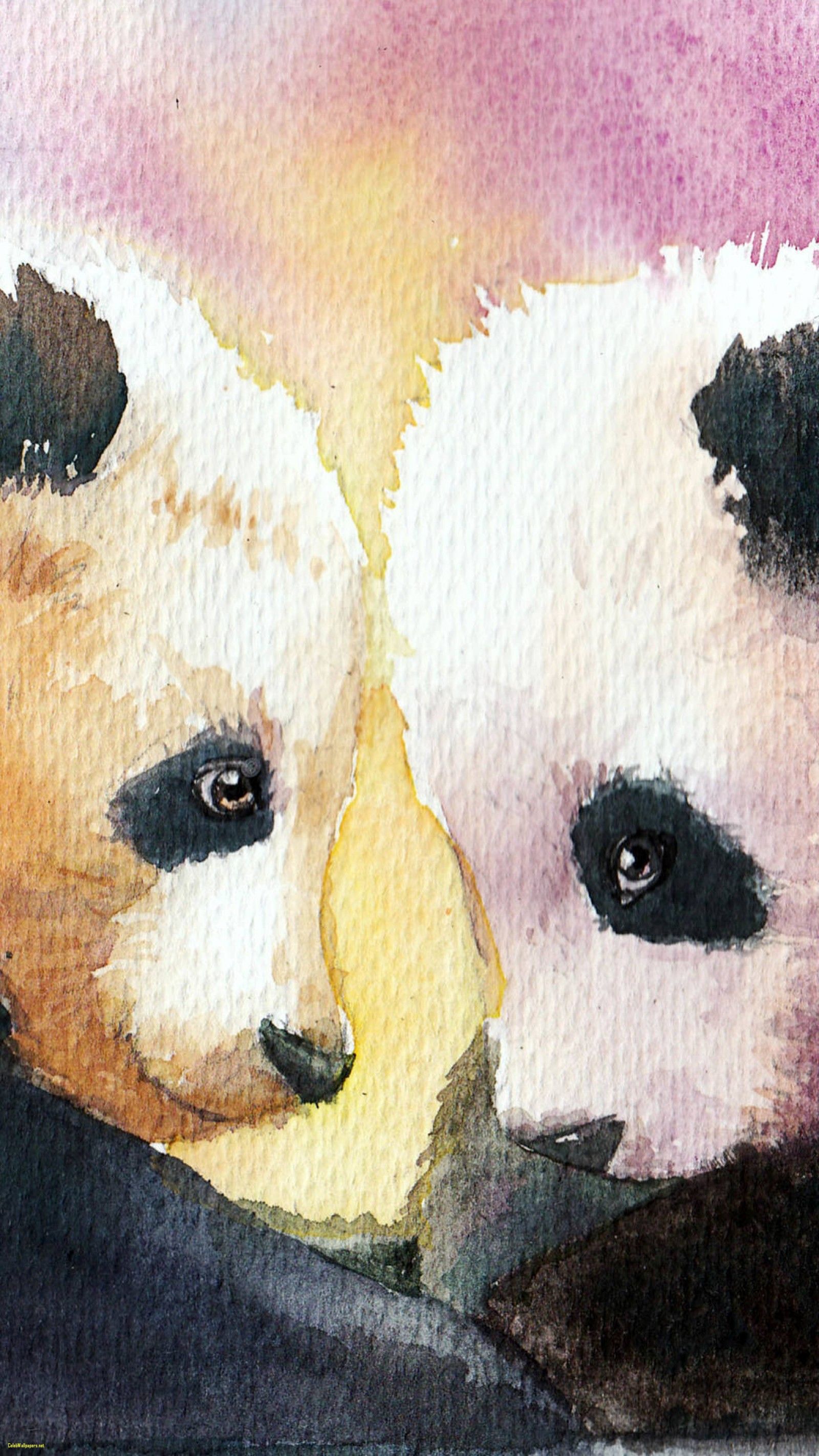 Panda Couple Wallpapers - Wallpaper Cave