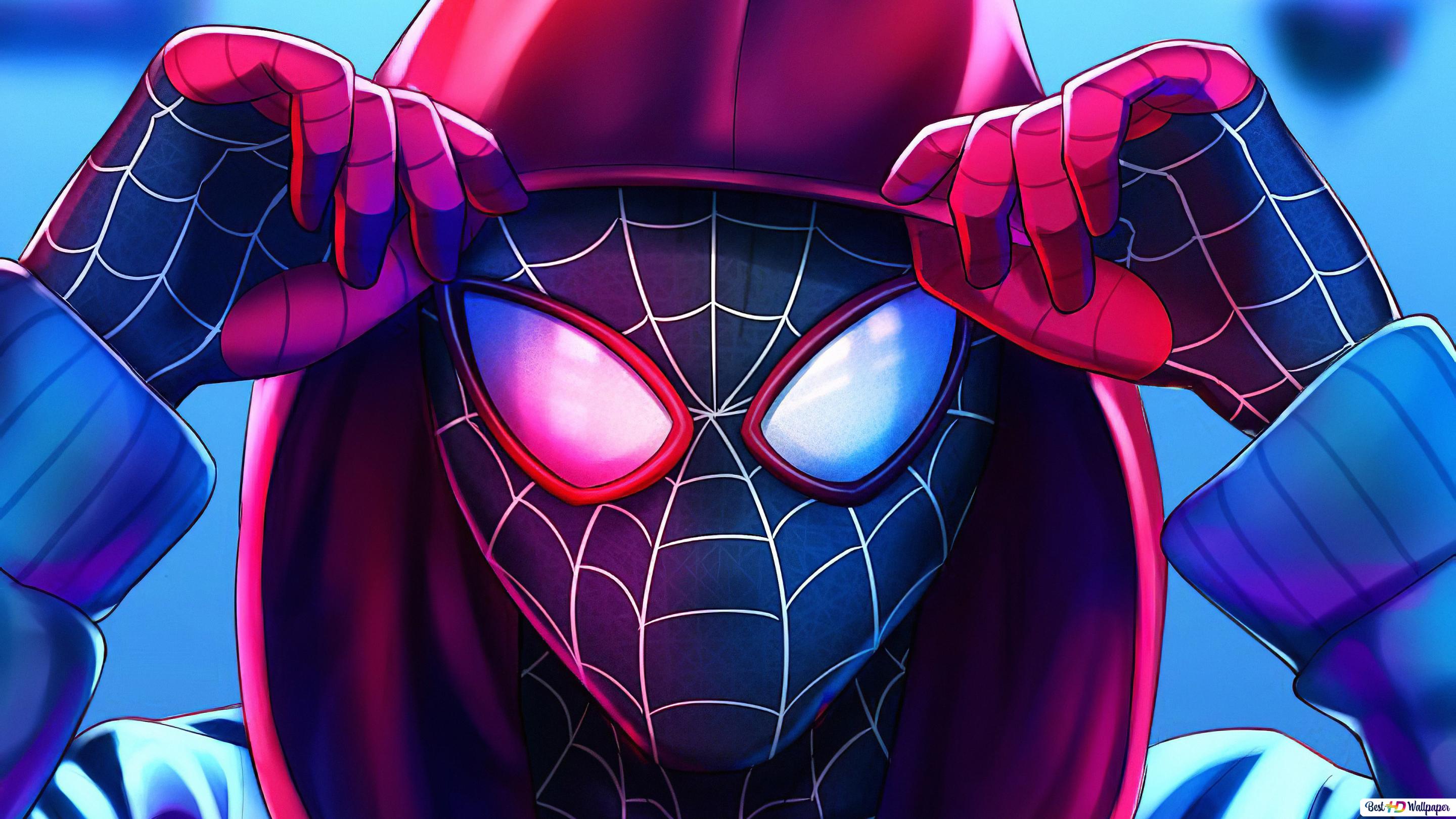 Spider Man: Into The Spider Verse (Miles Morales) HD Wallpaper Download