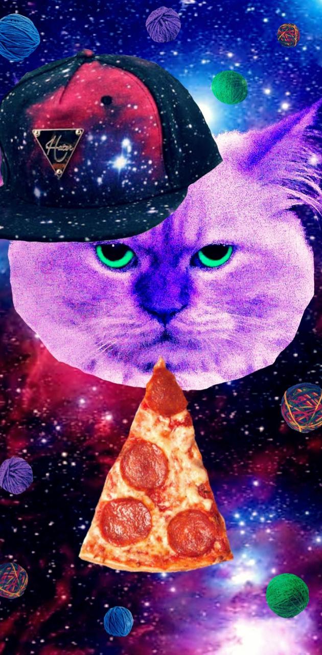 PIZZA CAT IN SPACE wallpaper
