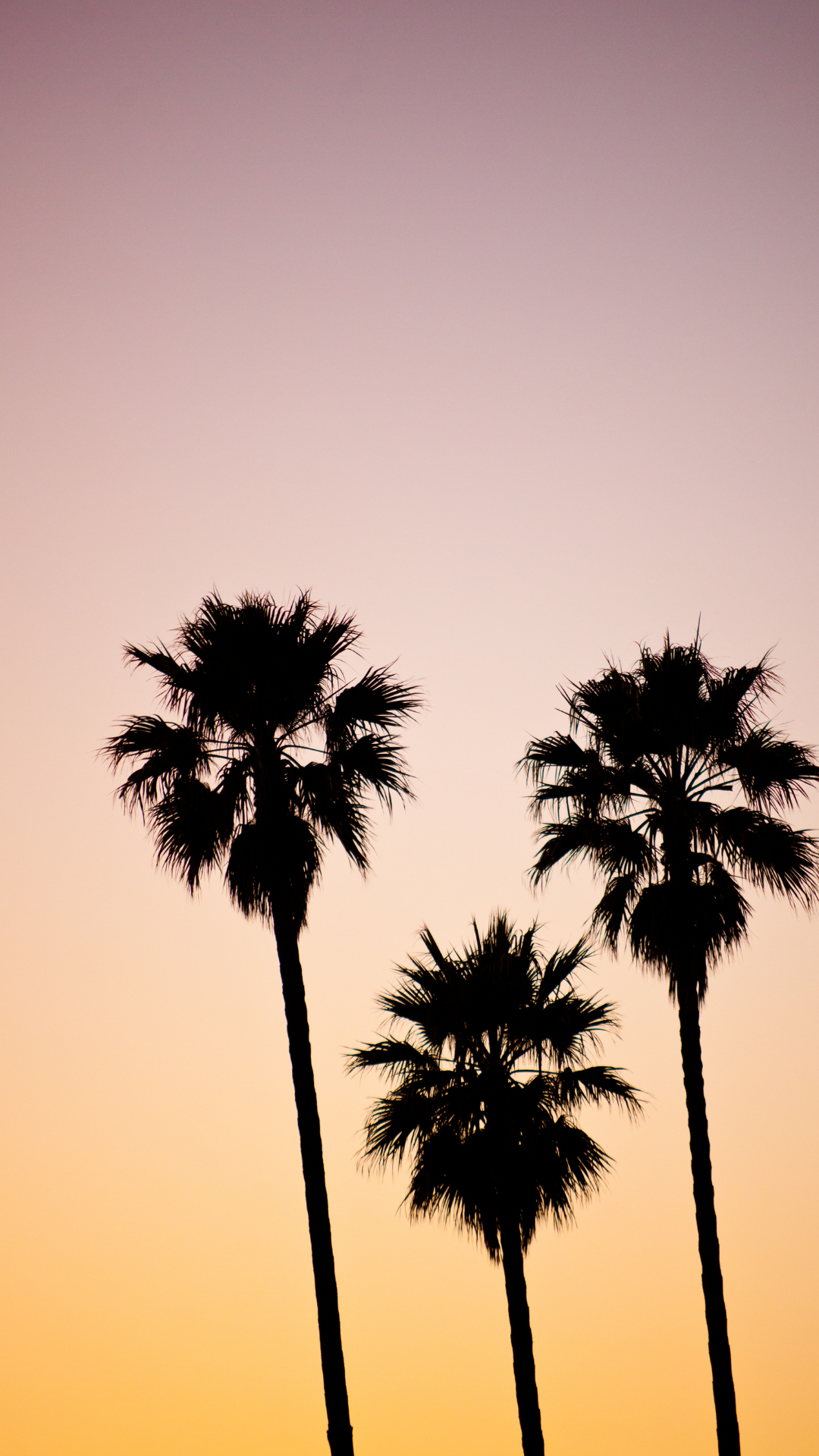 Summer Aesthetic Phone Wallpaper For 2021