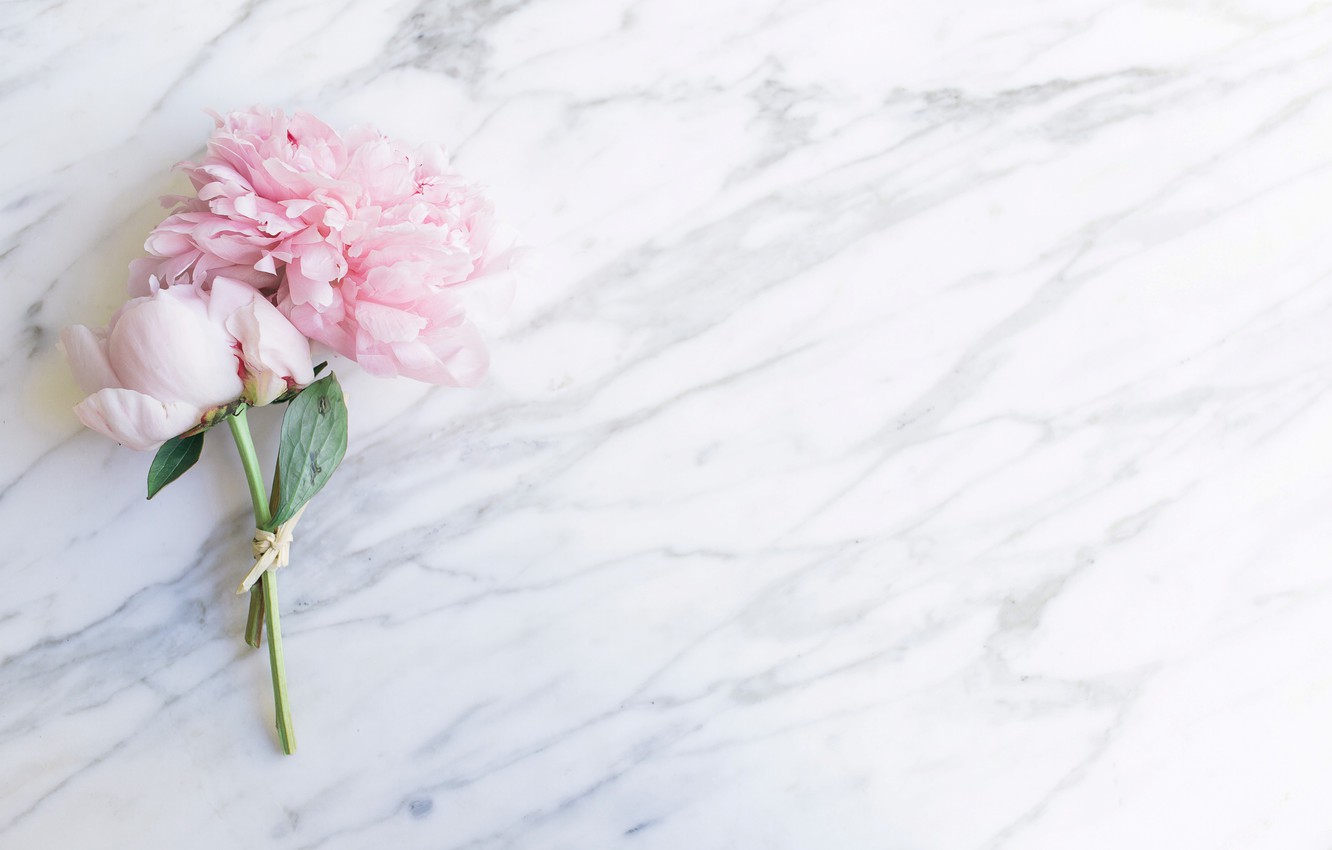 Wallpaper flowers, bouquet, marble, pink, flowers, peonies, peonies, tender, marble image for desktop, section цветы