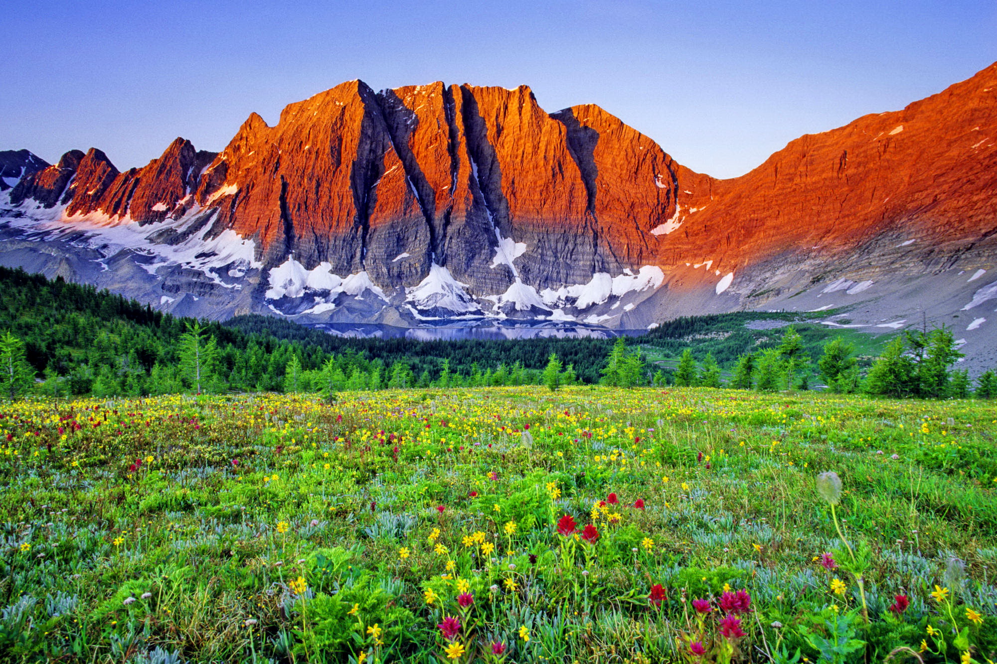Natural Mountain Meadow And Meadows Landscape