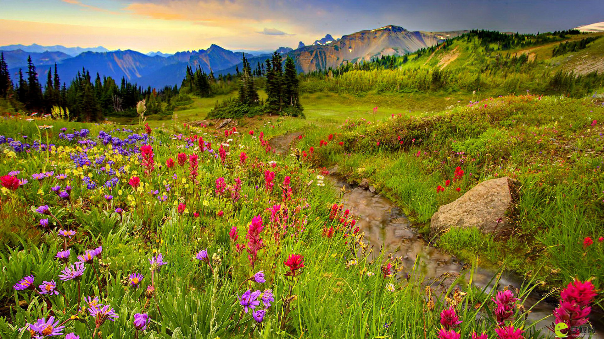 Meadow And Mountains Colorful Flowers Meadow With Grass Green Mountain Stream Stone Pine Trees Sharp Mountain Peaks Landscape HD Wallpaper, Wallpaper13.com