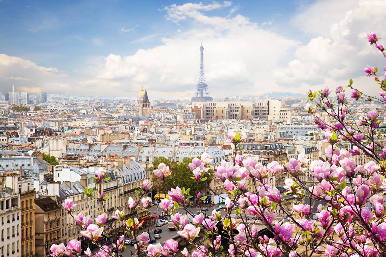 Image Paris Eiffel Tower France Spring Cities Flowering trees
