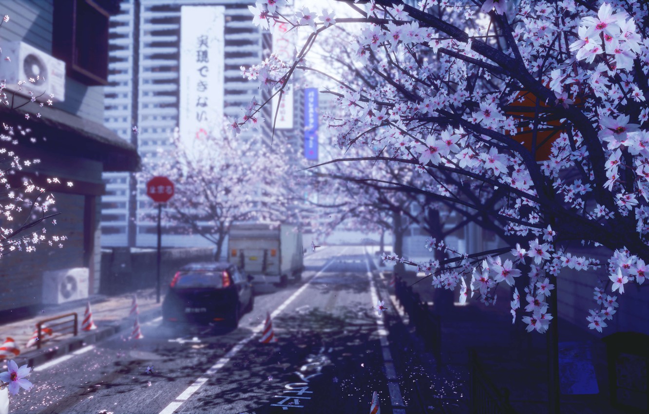 Wallpaper auto, the city, spring, Sakura image for desktop, section арт