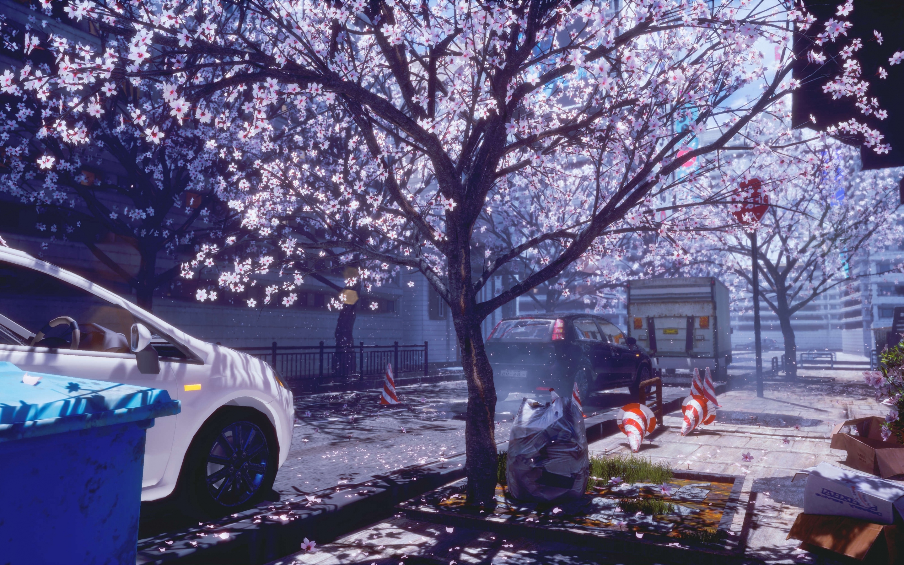 Wallpaper Spring, Cherry Blossom, Anime City:5622x2492