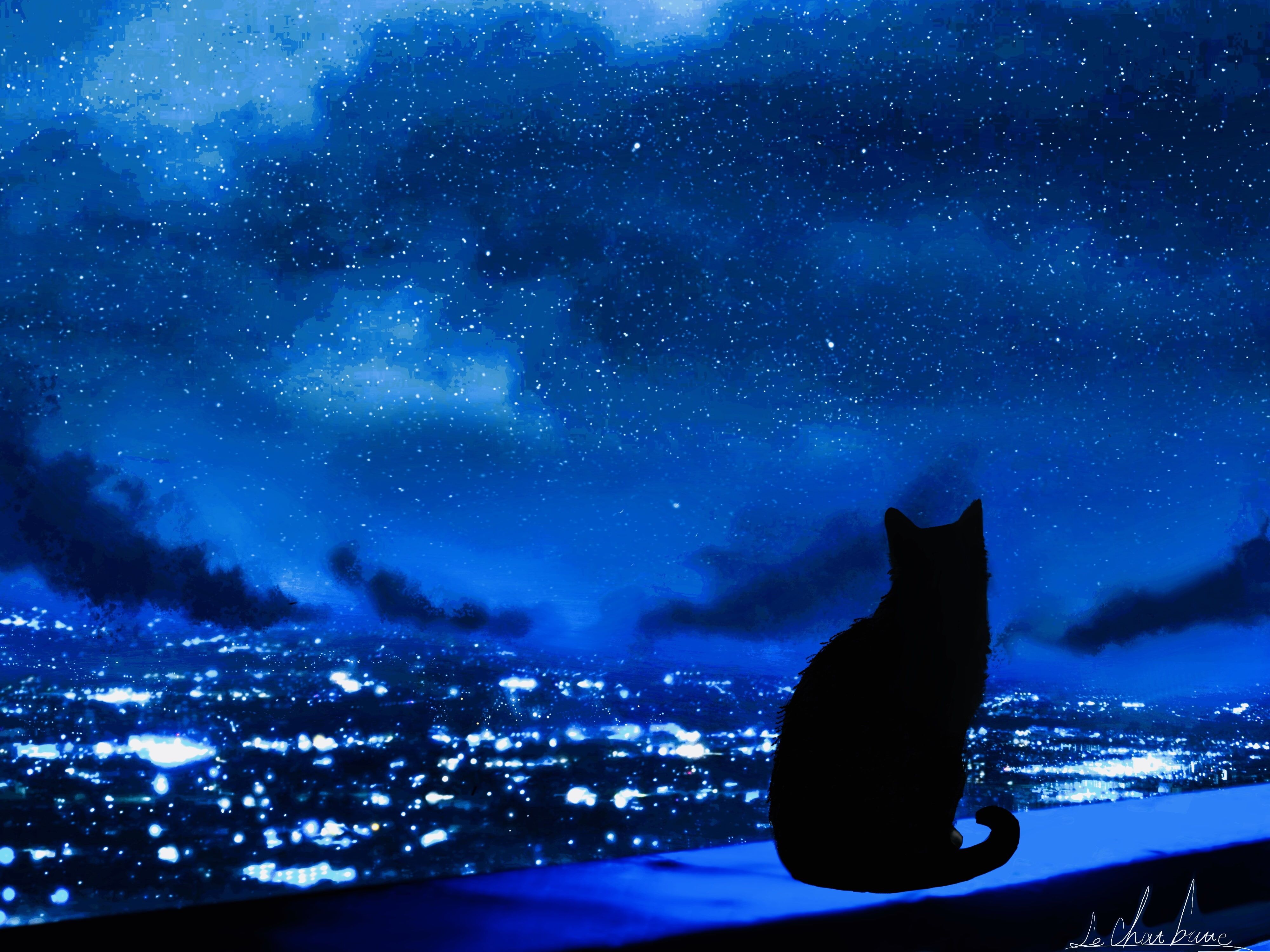 animals #cats #city #figures #night #sky K #wallpaper #hdwallpaper #desktop. Cat city, Night sky wallpaper, Star destroyer wallpaper