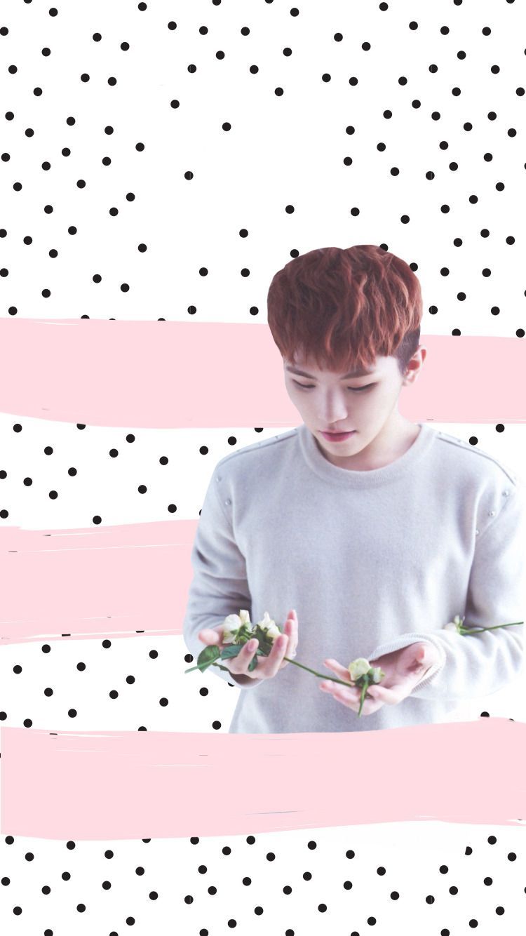 Woozi Wallpaper