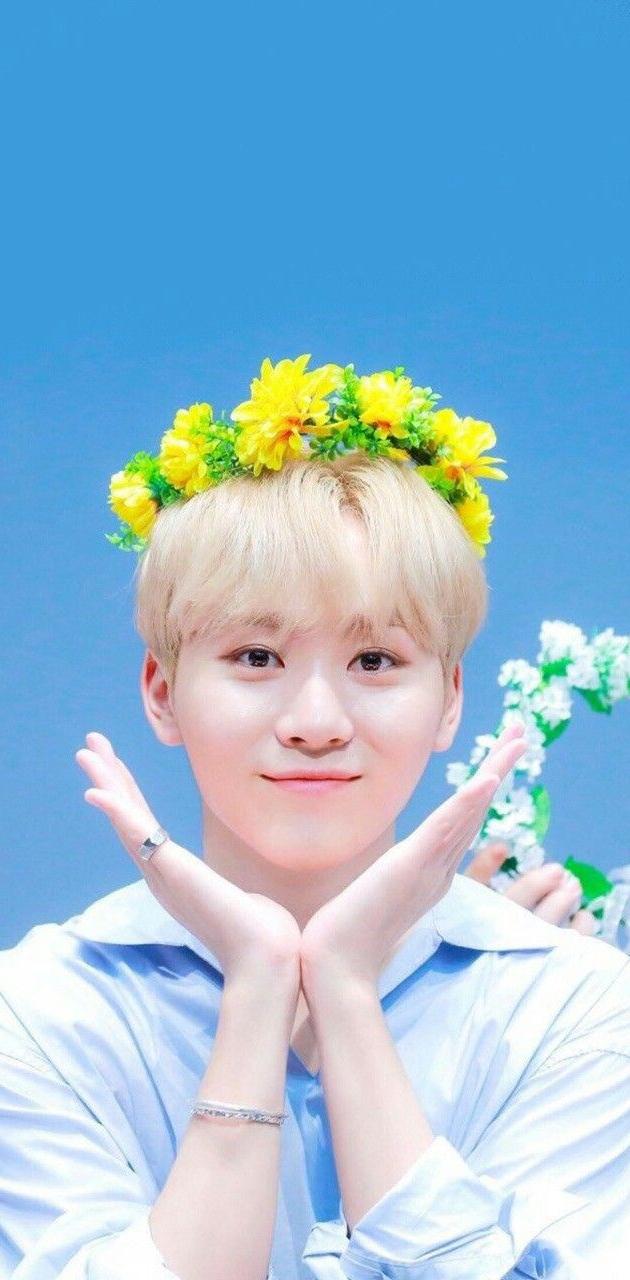 Seventeen wallpaper