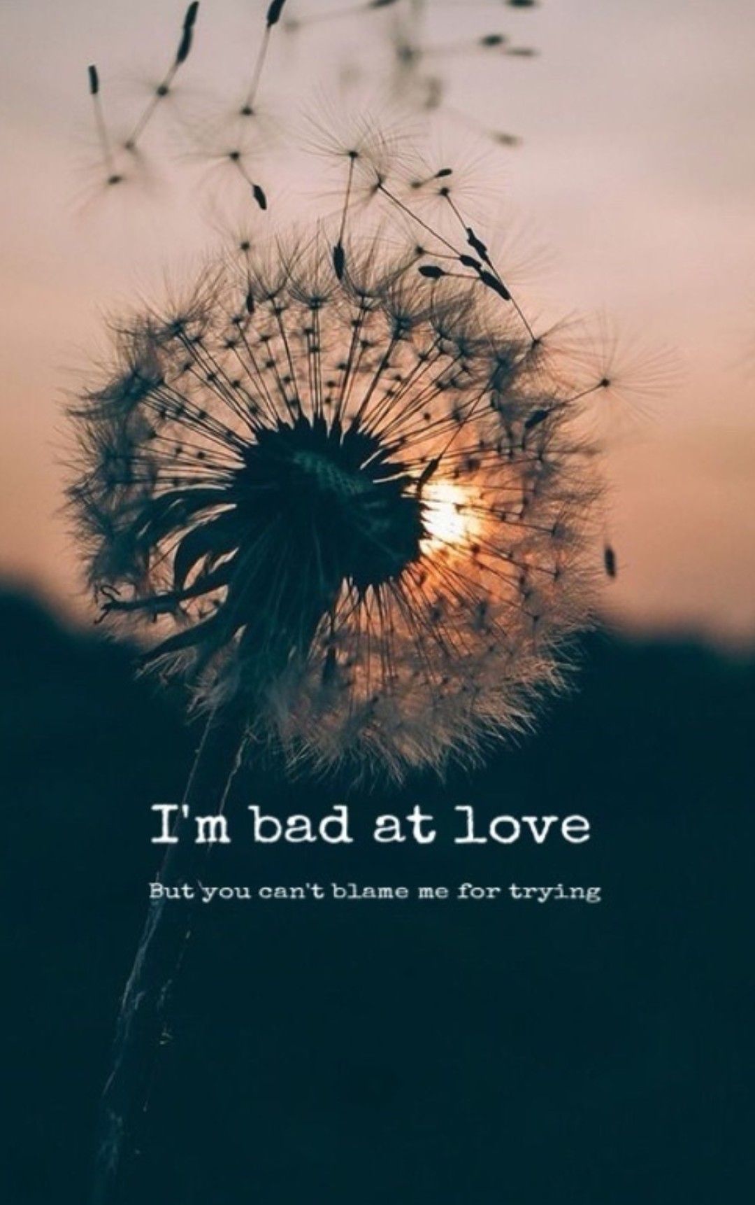 Bad at love- Halsey. Dandelion quotes, Dandelion, Most beautiful flowers