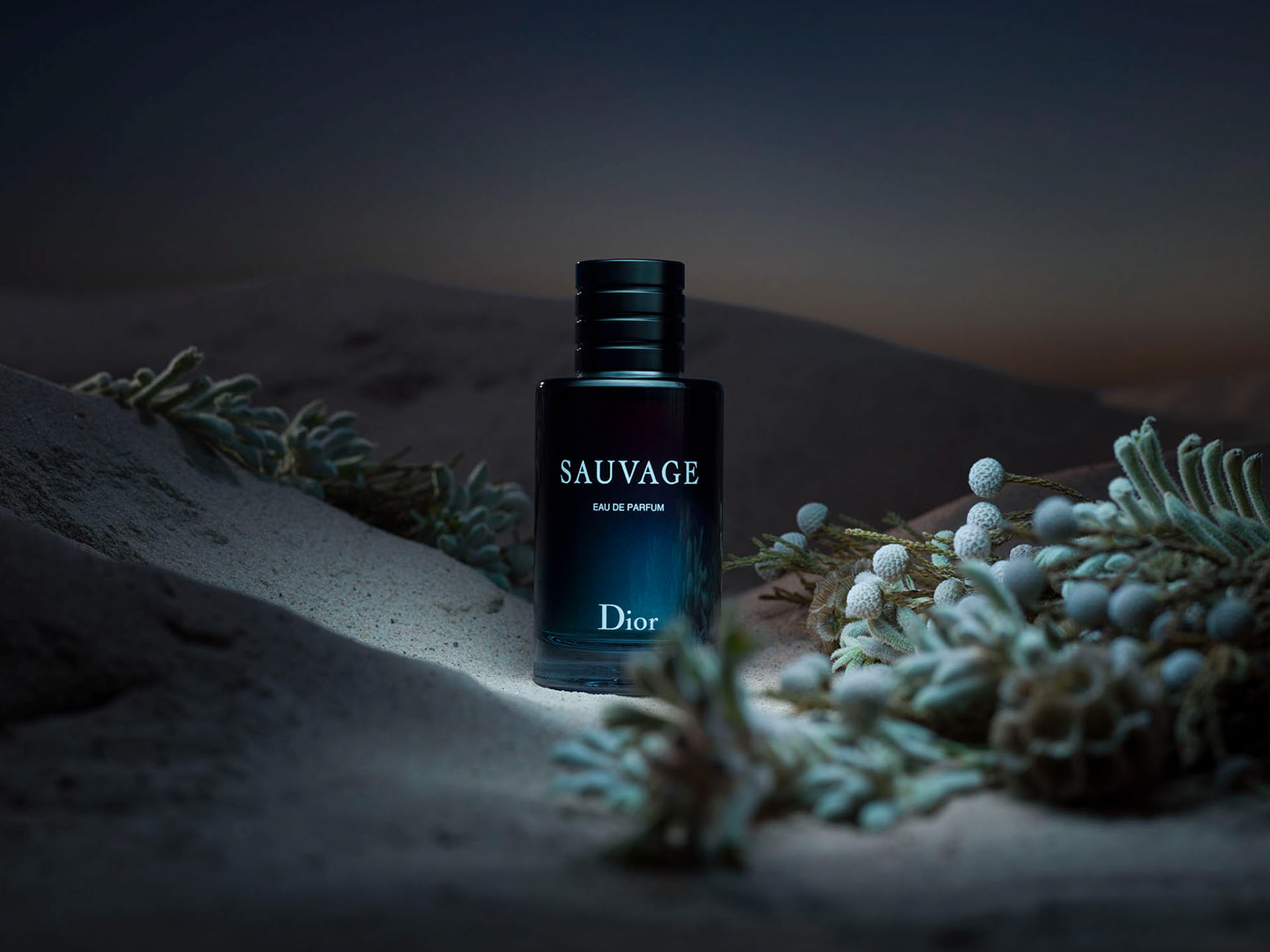 Dior Sauvage