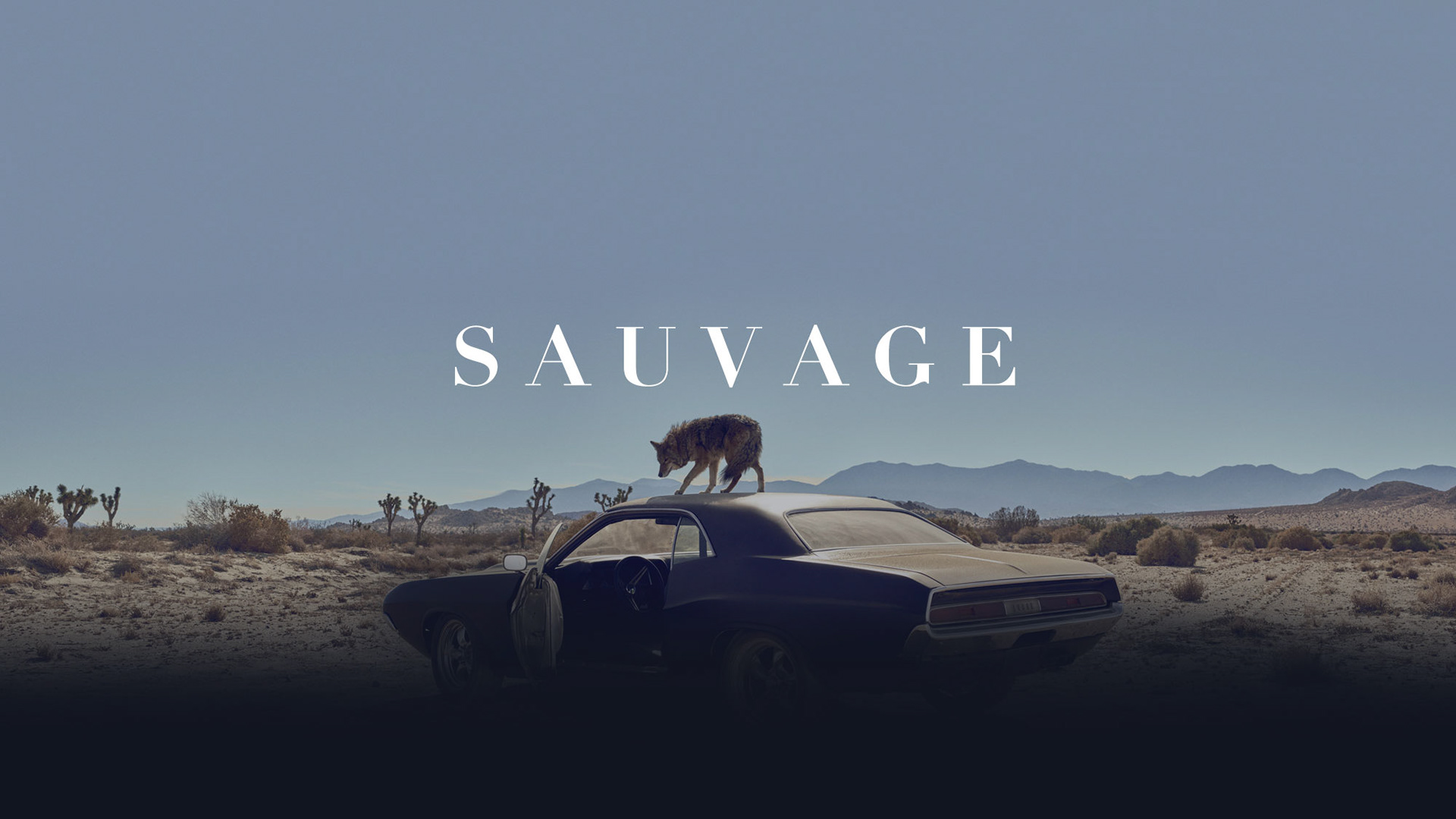 SAUVAGE