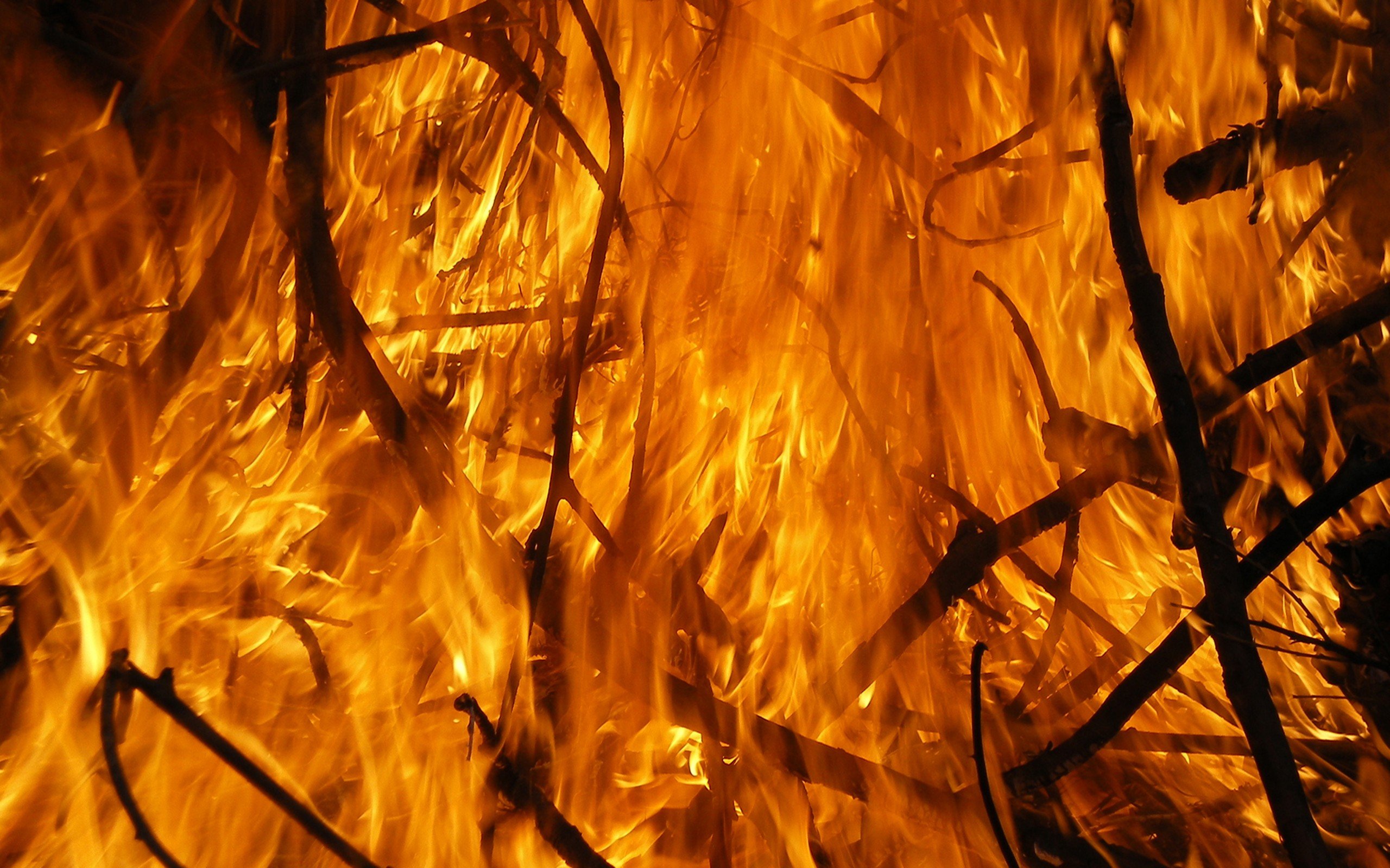 Flames wood fire orange wallpaperx1600