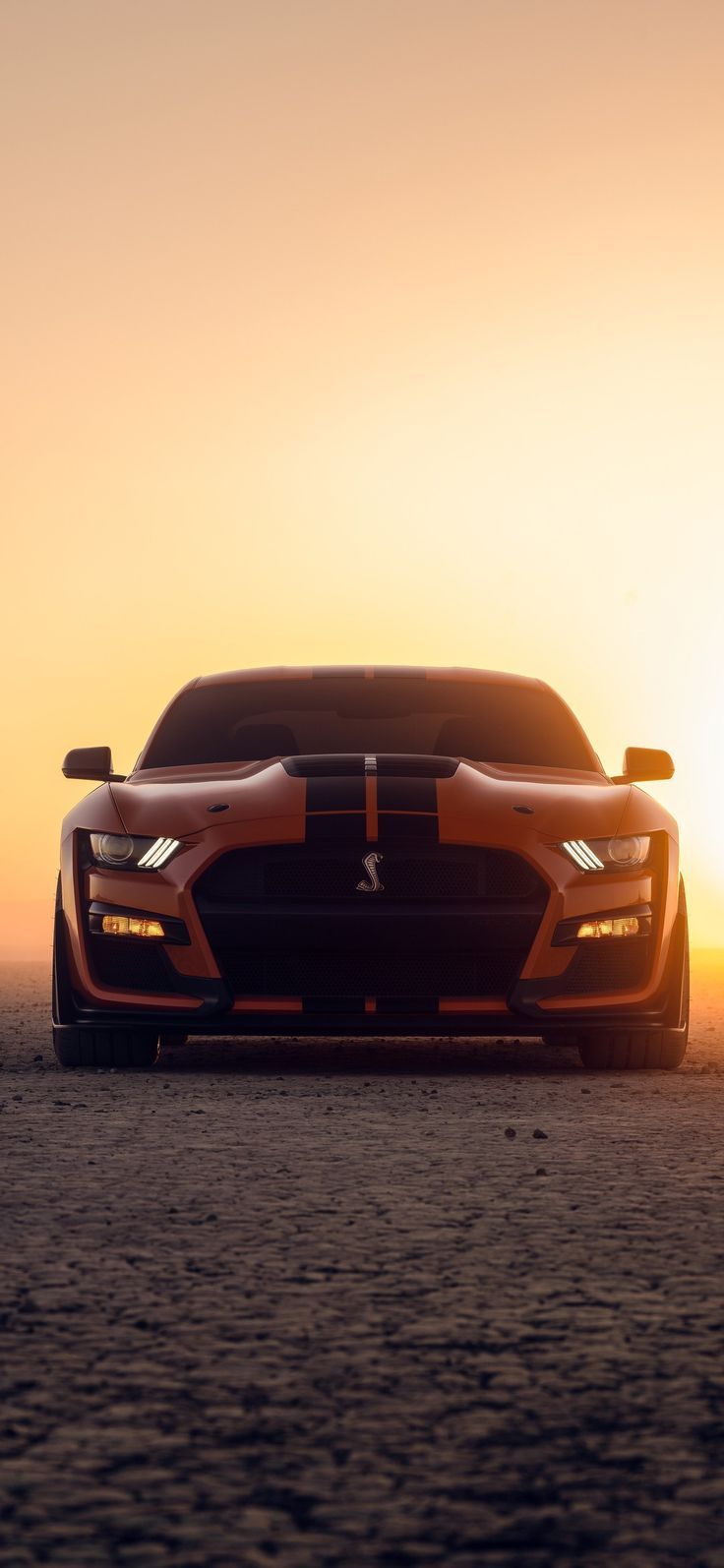 Shelby Mustang GT Exclusive Wallpaper. Ford mustang wallpaper, Mustang wallpaper, New musta. Ford mustang wallpaper, Mustang wallpaper, Ford mustang car