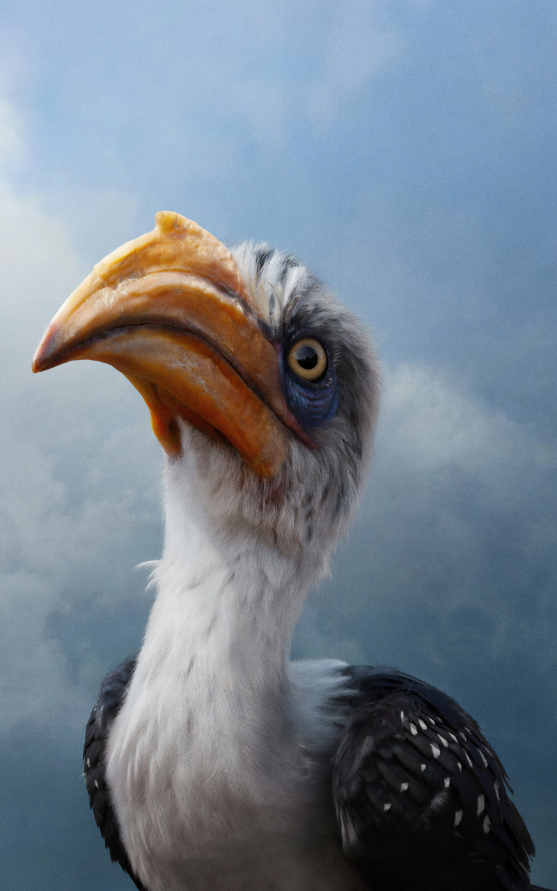 John Oliver As Zazu In The Lion King 2019 4k Nexus 7, Samsung Galaxy Tab 10, Note Android Tablets HD 4k Wallpaper, Image, Background, Photo and Picture