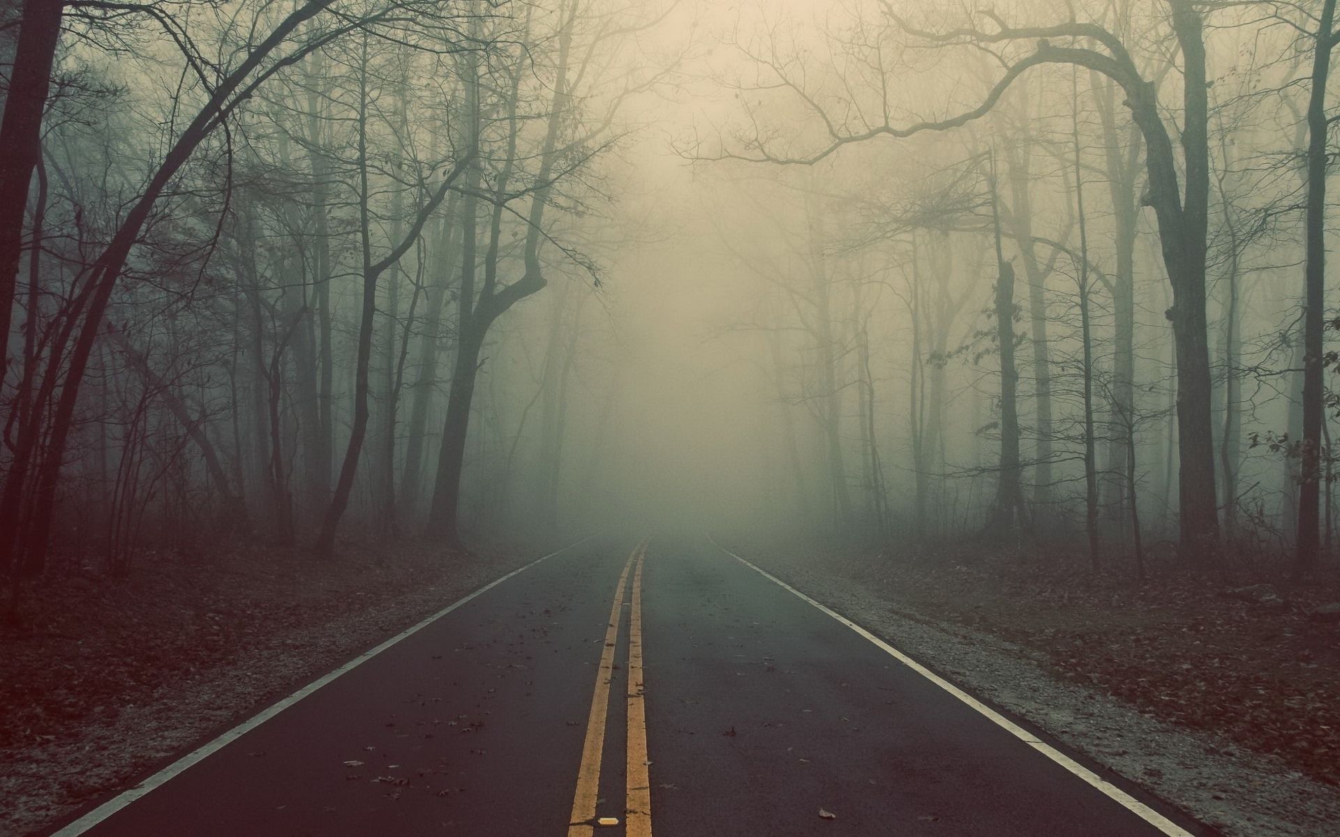 Foggy Road Landscape Wallpaper. Landscape wallpaper, Autumn landscape, Landscape photography