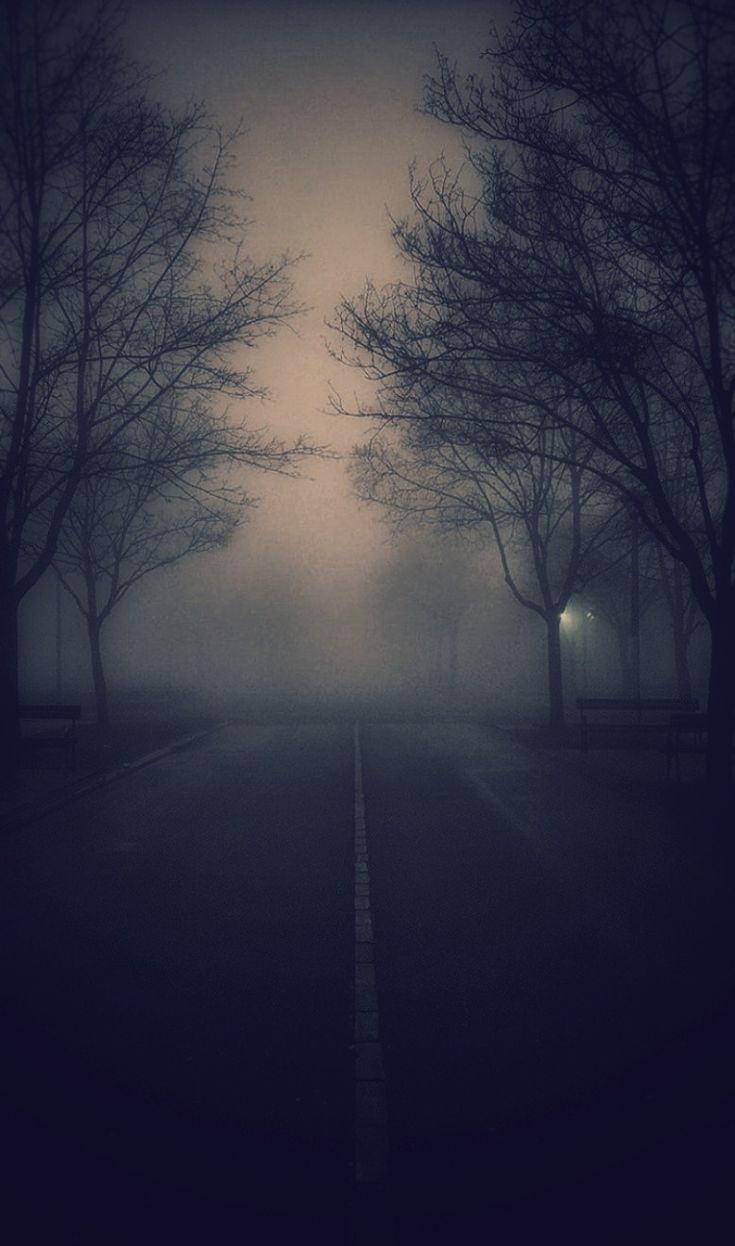 Into The Unknown. Fog photography, Dark street, Nature photography