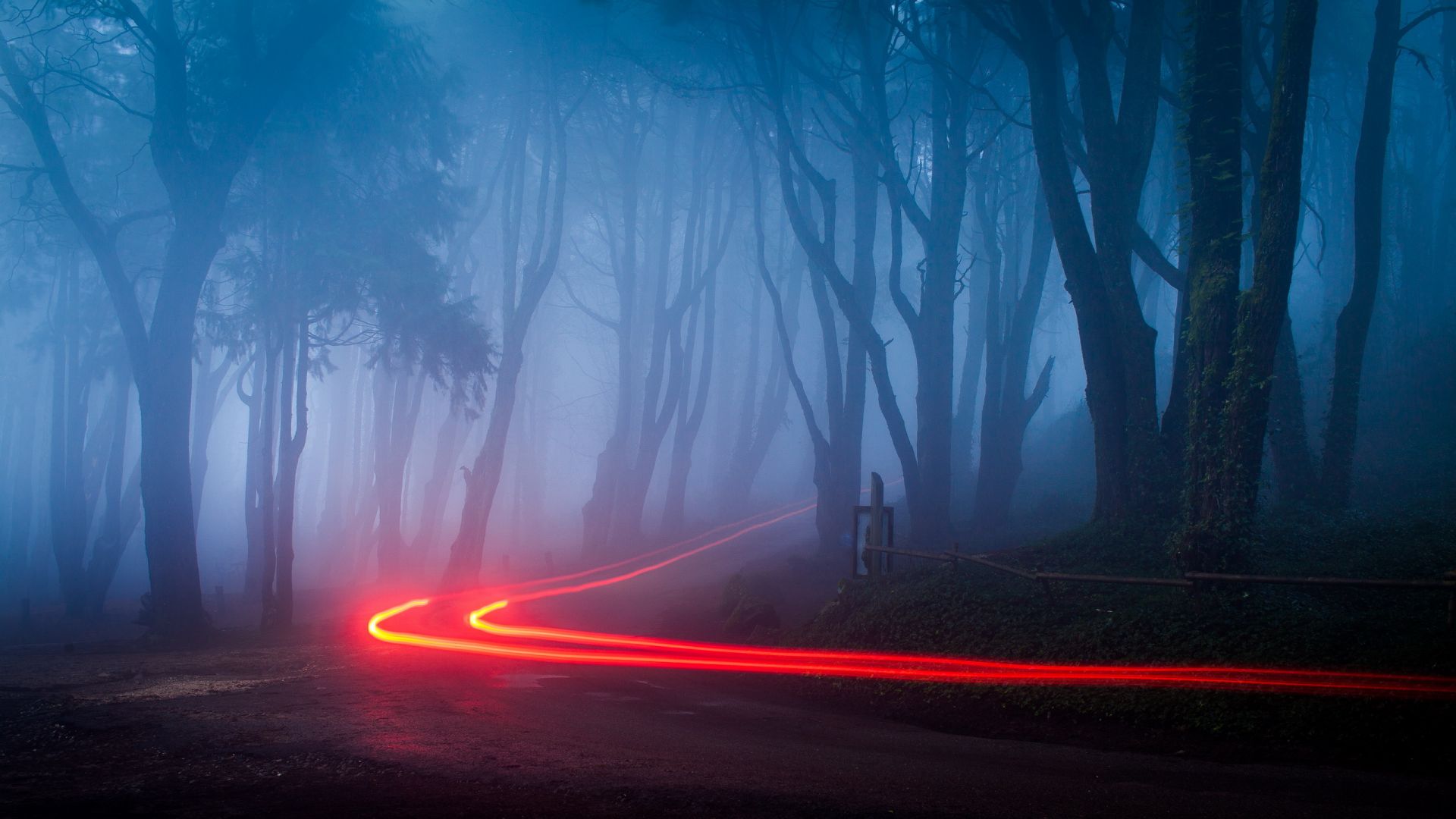Desktop Wallpaper Foggy Forest Road Lights, HD Image, Picture, Background, Tfg3ty