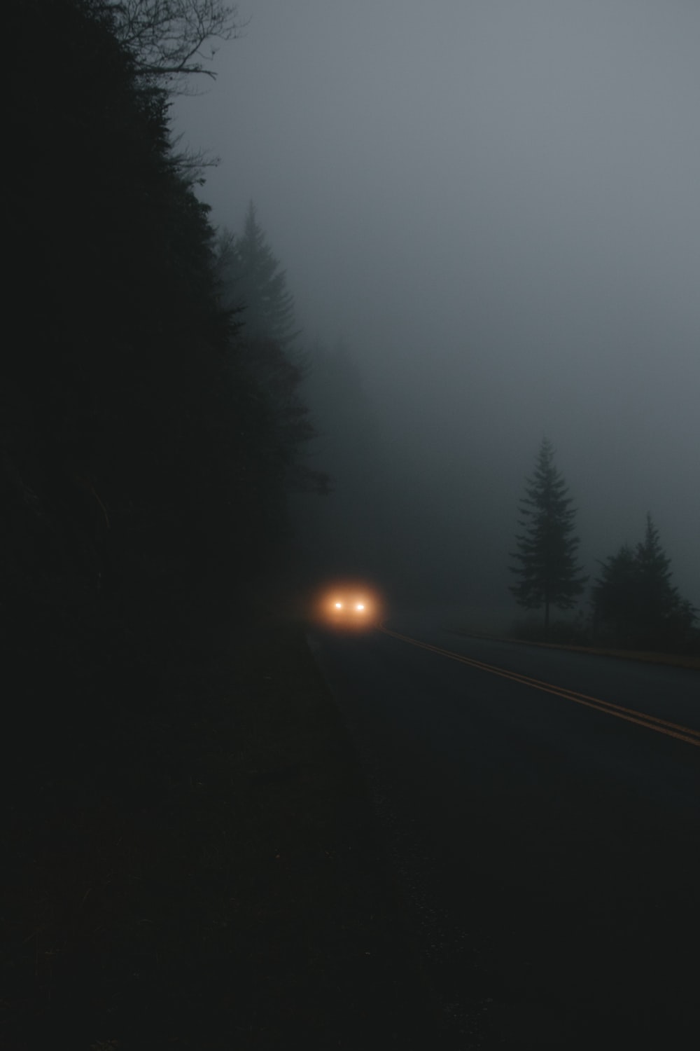 Dark Foggy Night Wallpaper