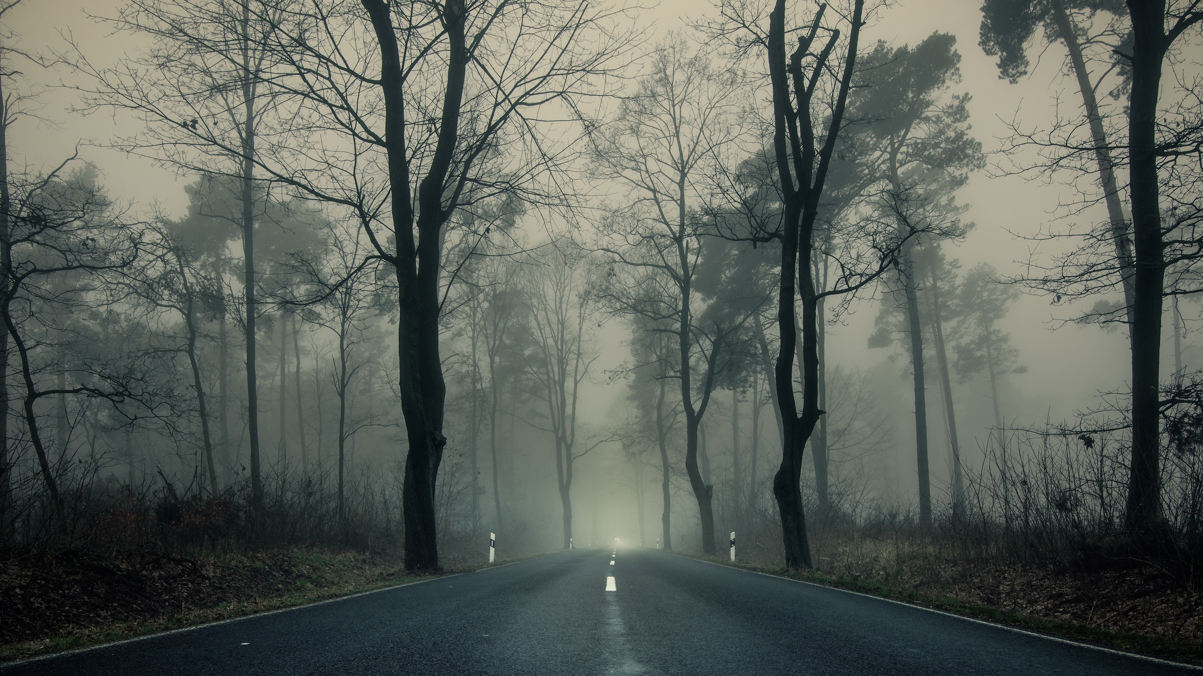 Foggy Road Wallpapers - Wallpaper Cave