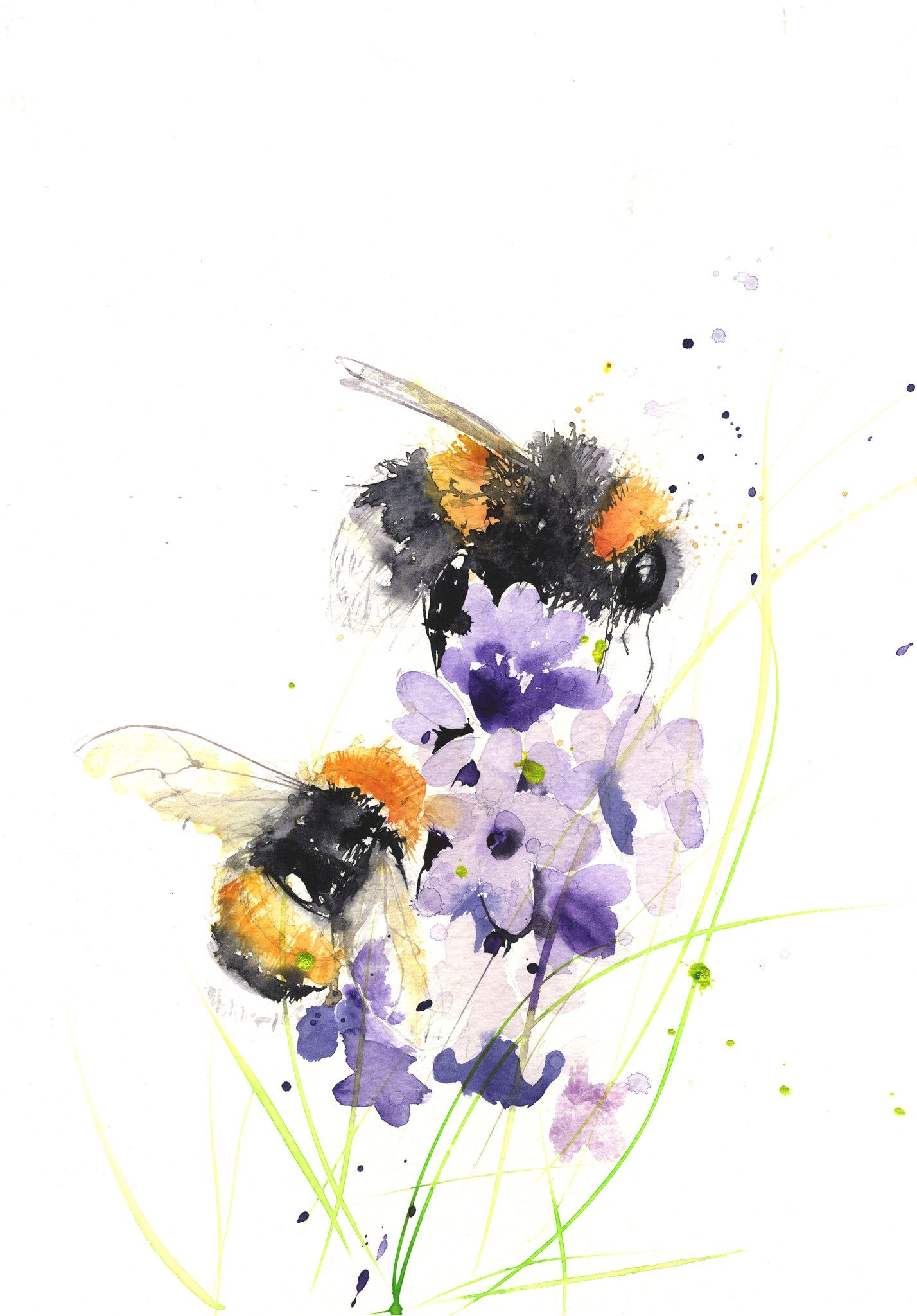 Bumblebee flower macro insect HD phone wallpaper  Peakpx
