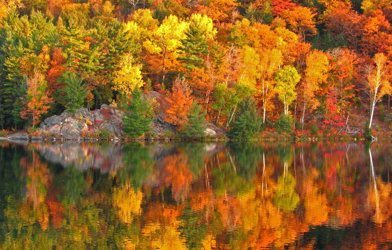 Wallpaper autumn, trees, reflection, rocks, paint, slope, Canada, Ontario, lake George image for desktop, section природа