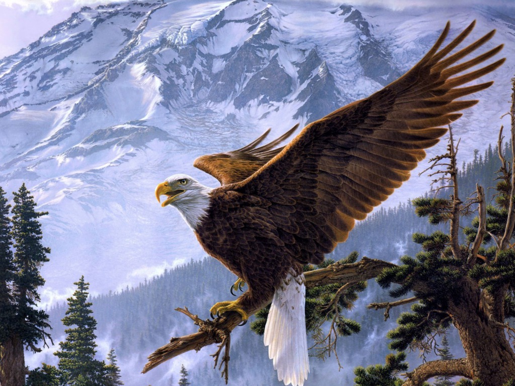 Free download Eagle Desktop Wallpaper One HD Wallpaper Picture [1024x768] for your Desktop, Mobile & Tablet. Explore Eagle Wallpaper. Golden Eagle Wallpaper, Bald Eagle Wallpaper, Philadelphia Eagles Wallpaper