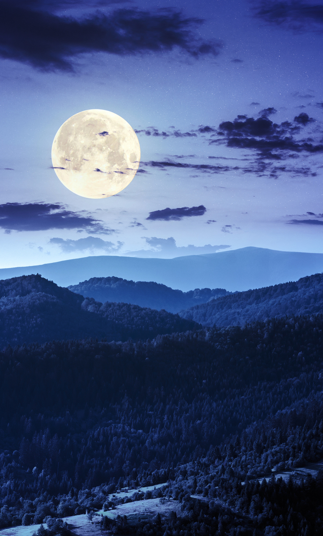 Forest Night Moon Clouds 4k iPhone HD 4k Wallpaper, Image, Background, Photo and Picture