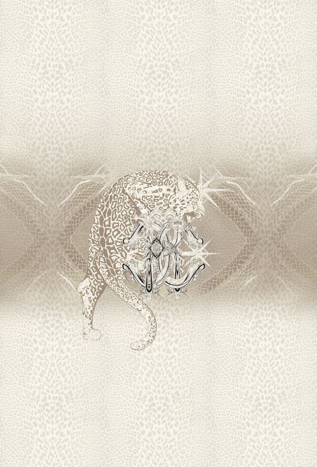 Roberto Cavalli ideas