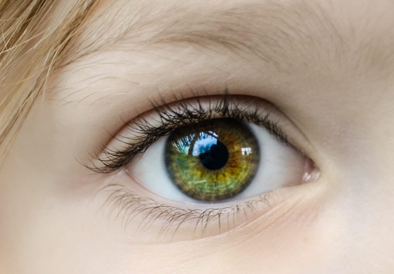Hazel Eyes Facts And Theories You Might Not Know