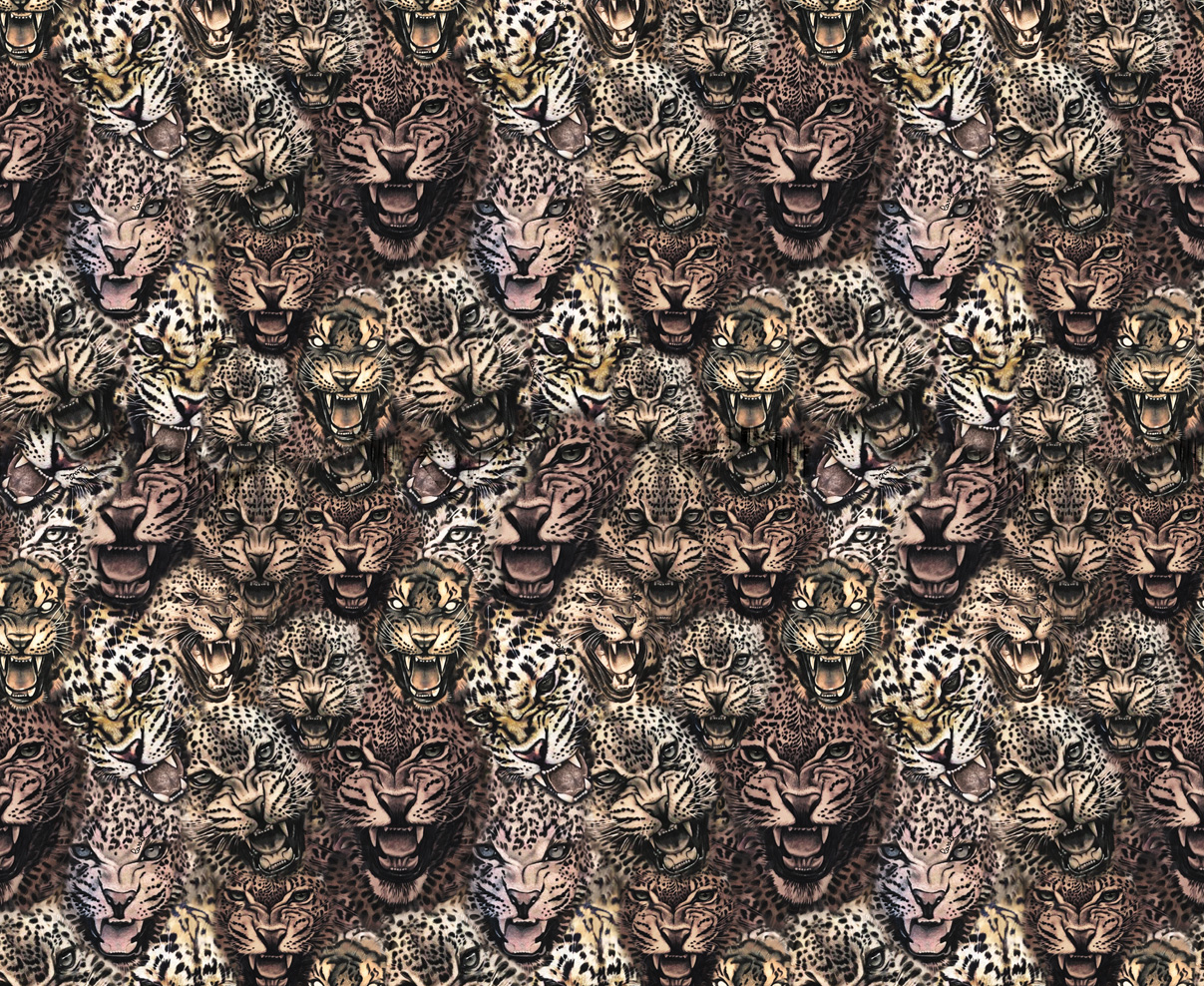 Roberto Cavalli Luxury Wallpaper