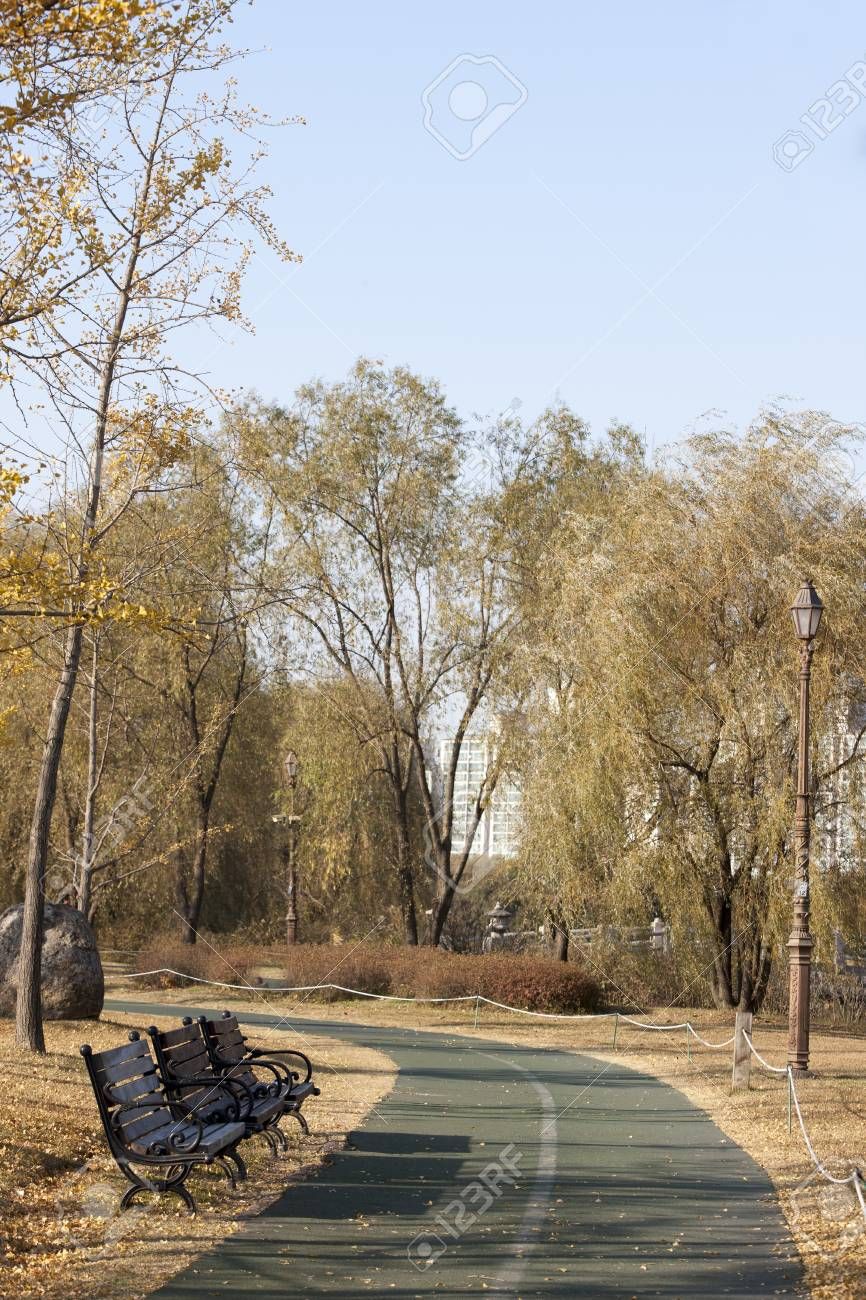 South Korea, Gyeonggi Do, Goyang, Ilsan Lake Park, Autumn Promenade Bench,. South Korea Photography, Beautiful Summer Wallpaper, Korea Travel