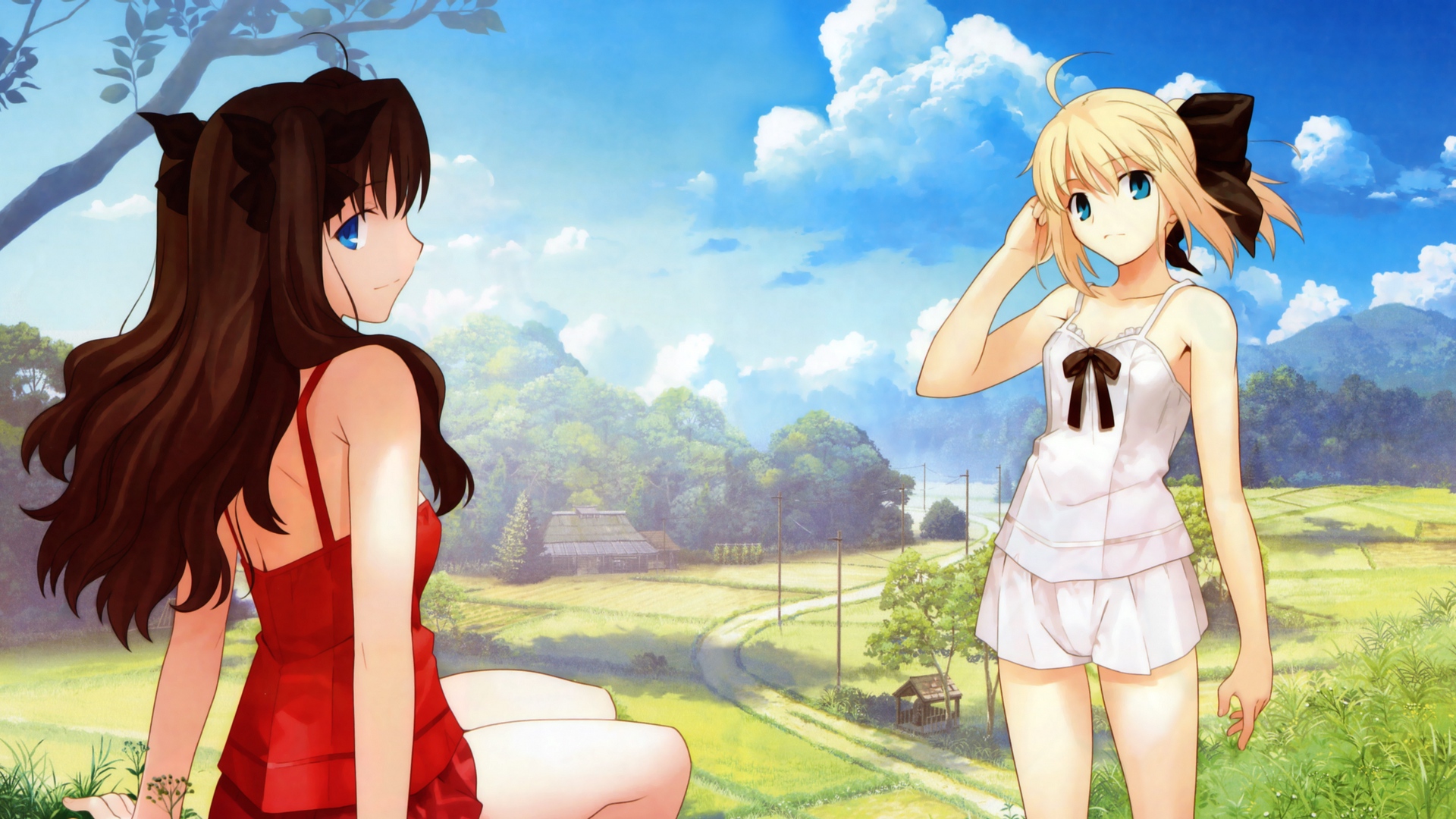 Wallpaper Anime, Girls, Summer, Sun, Grass, Leisure Tohsaka And Saber